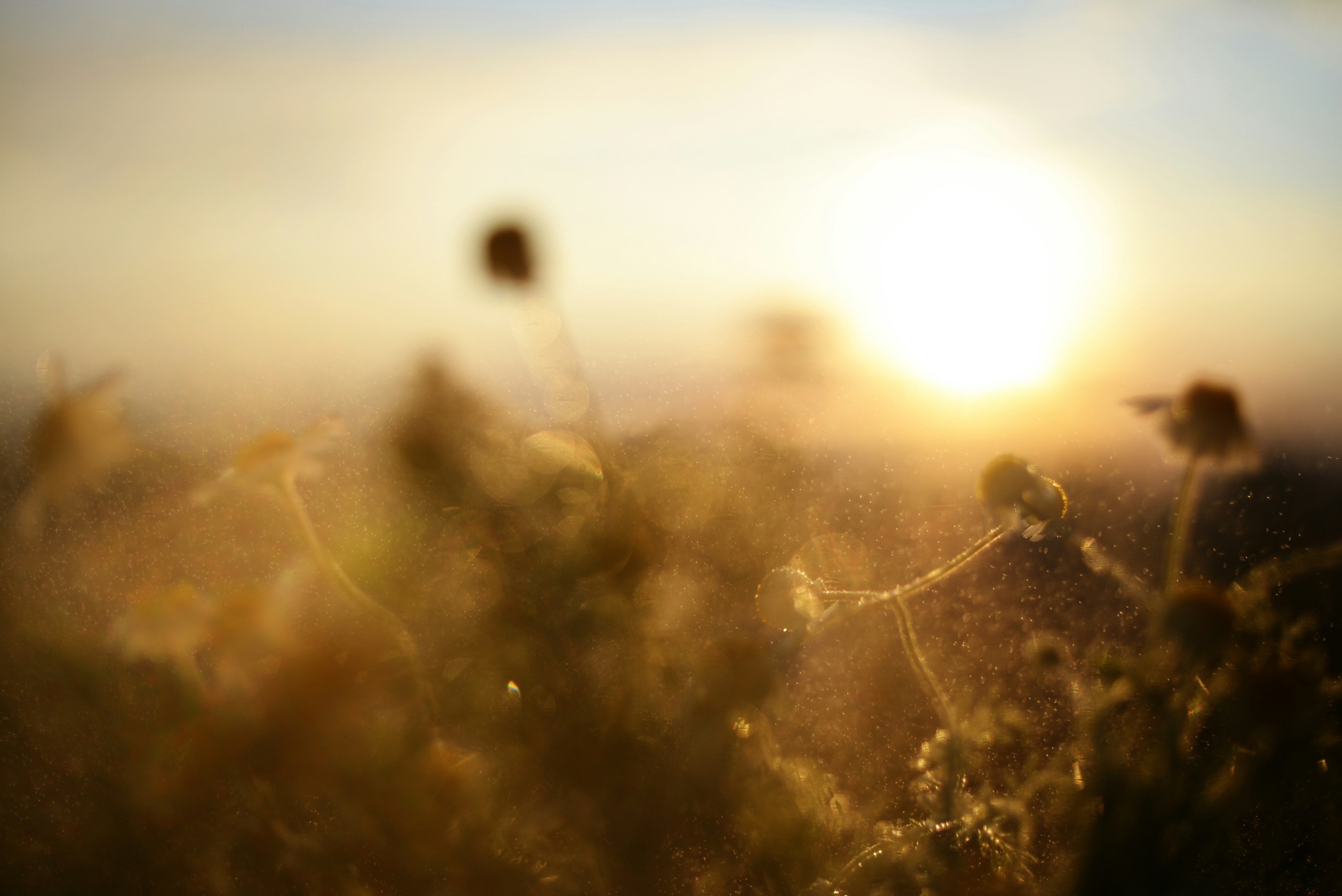 Photo by cherstve_pechivo