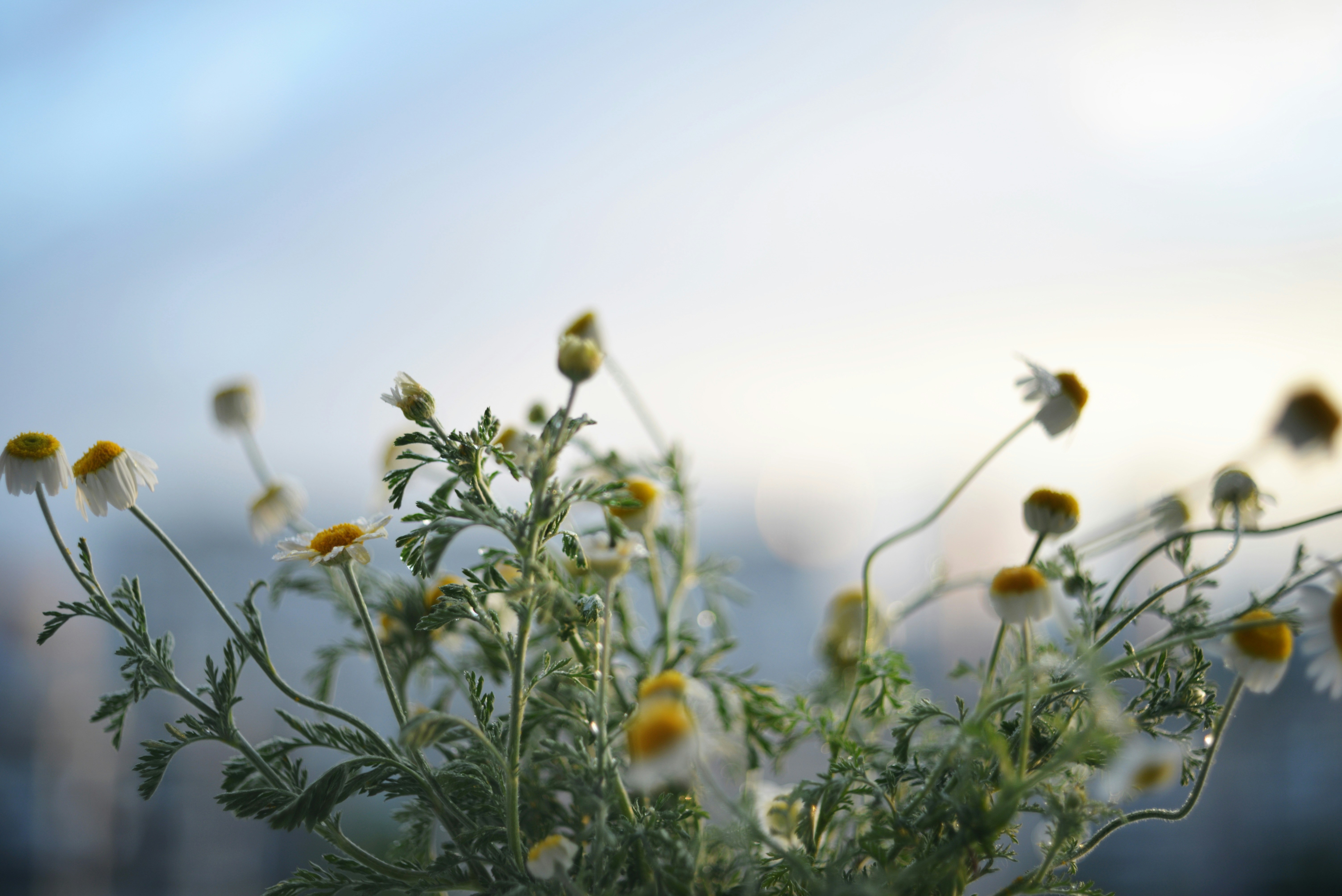 Photo by cherstve_pechivo