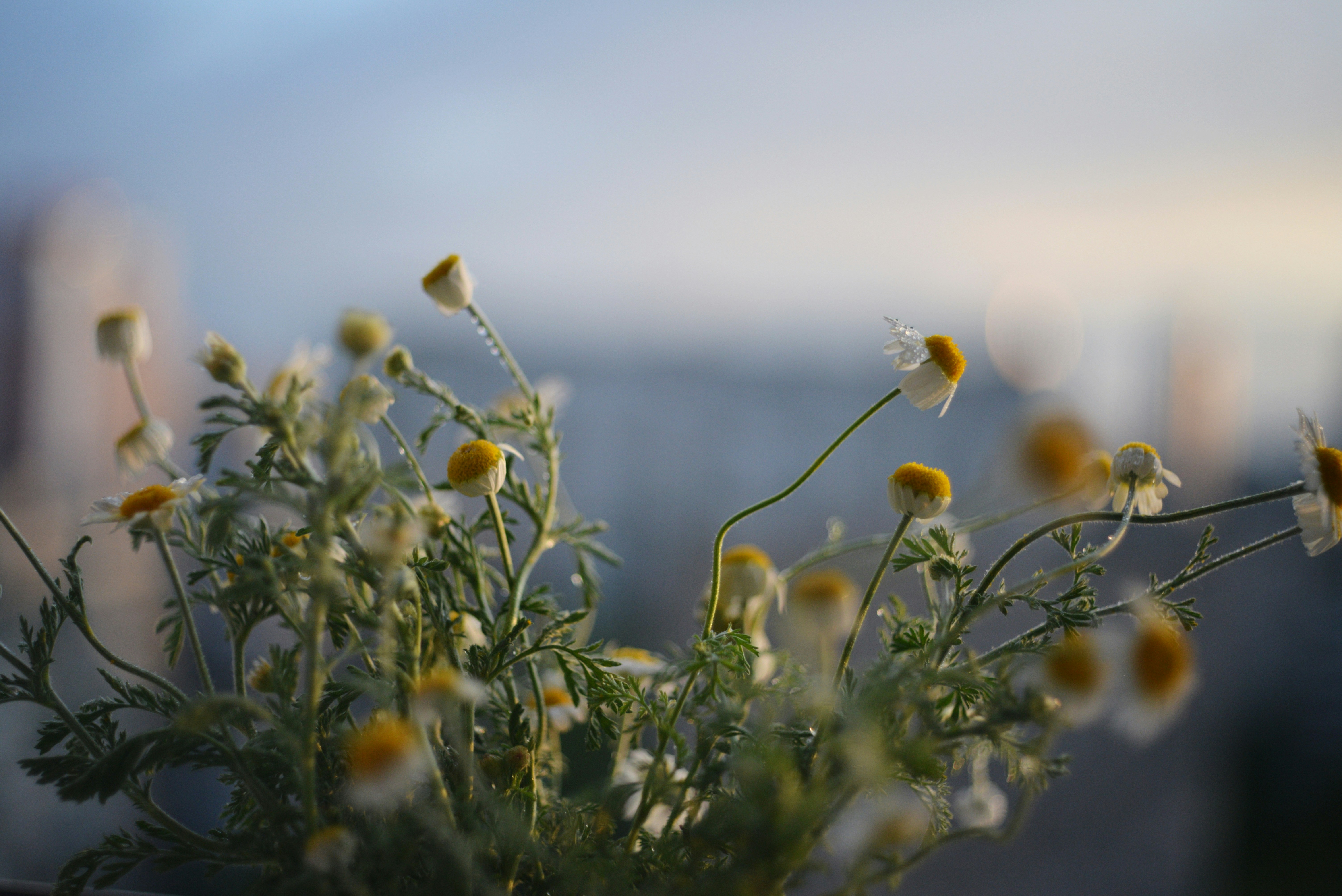 Photo by cherstve_pechivo