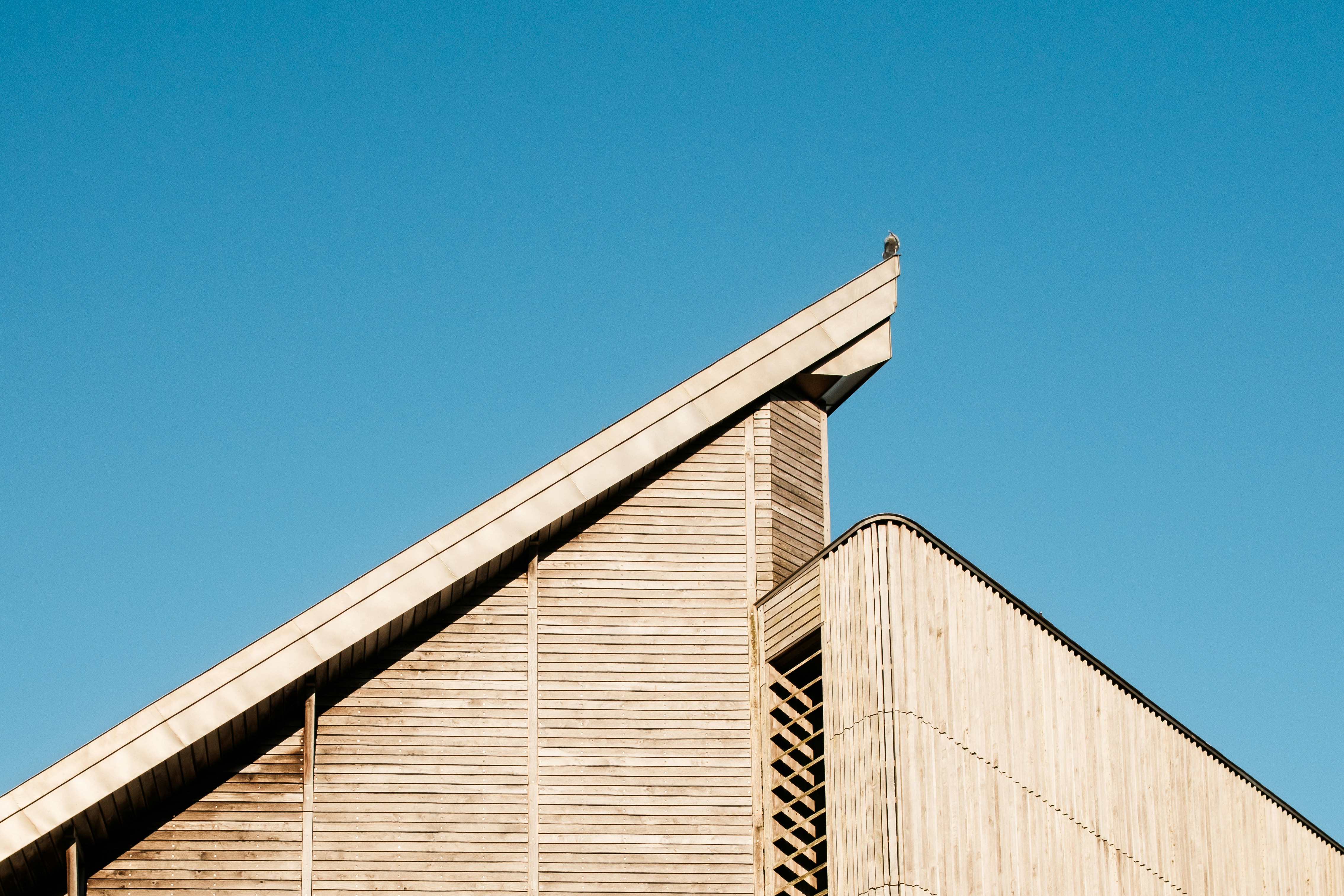 Photo by bfenton_photo