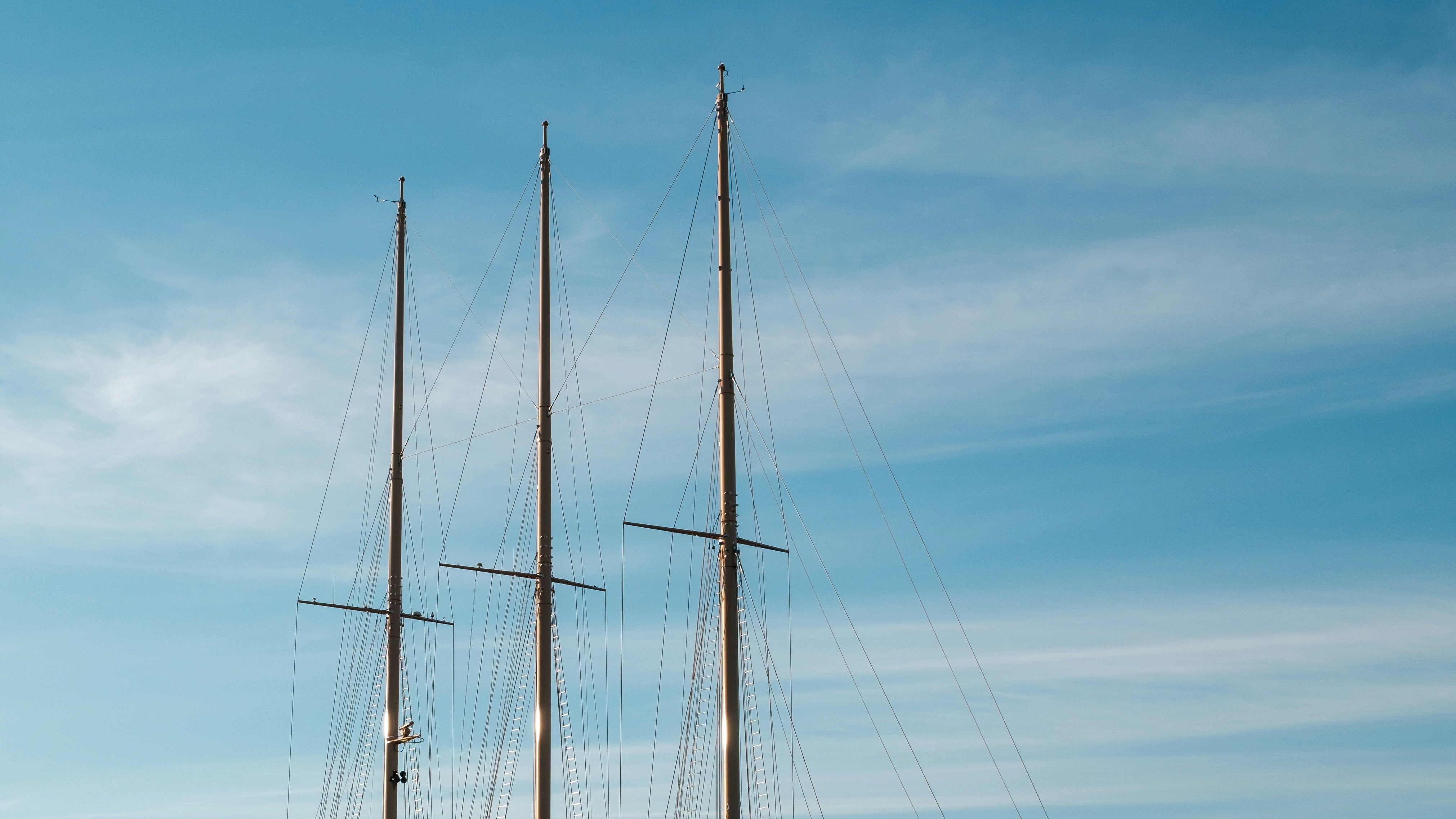 Photo by bfenton_photo