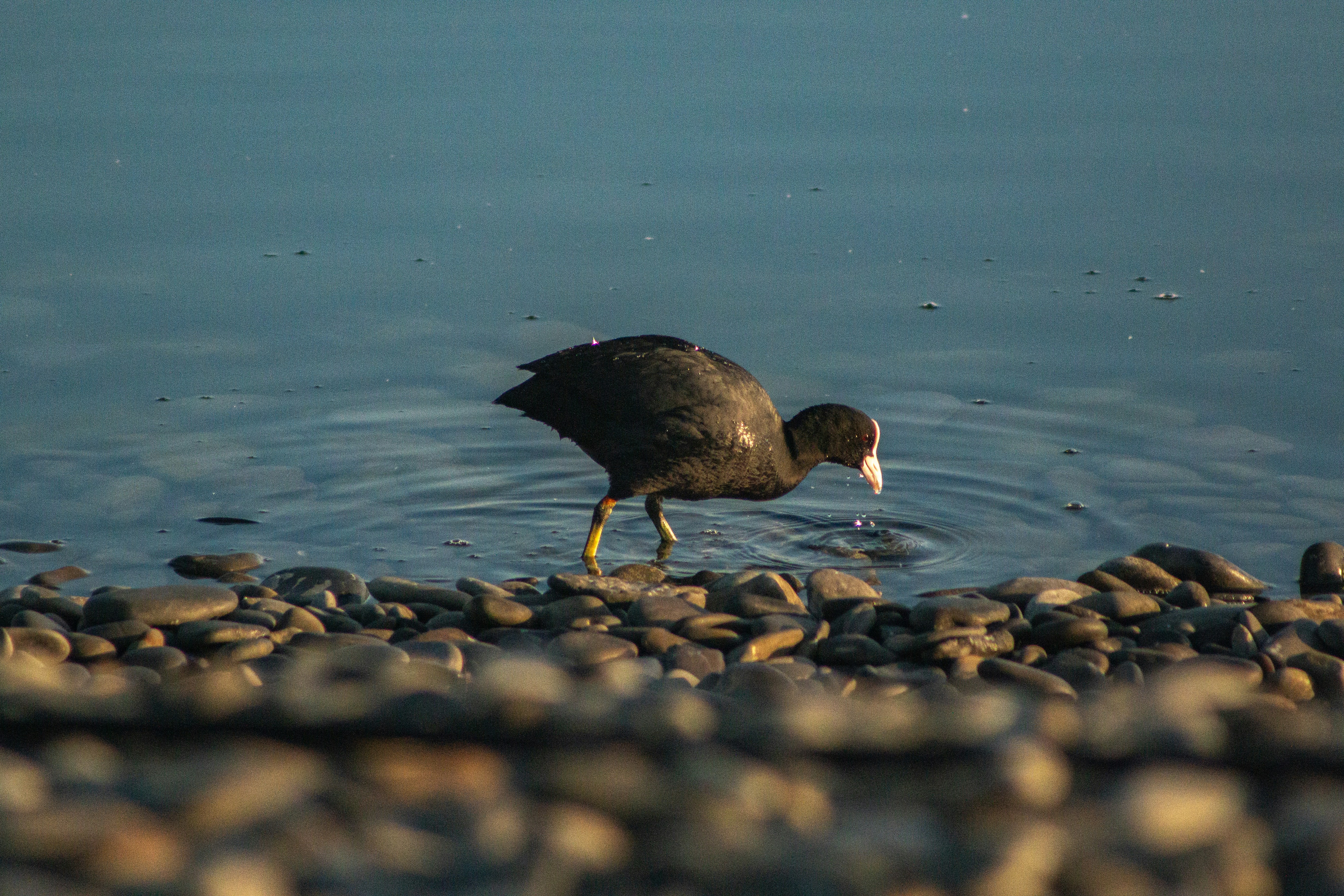 Photo by stepan_konev