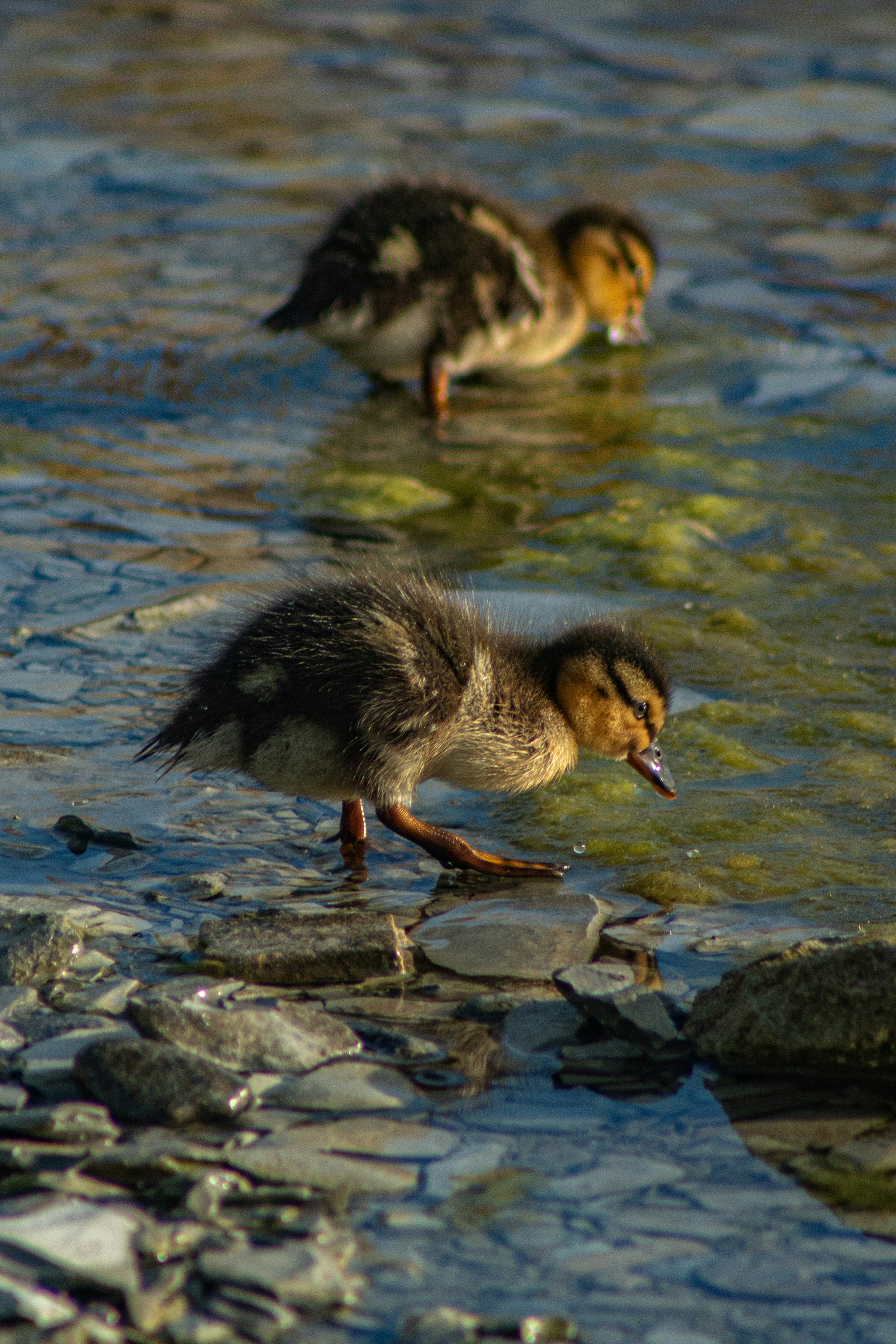 Photo by stepan_konev