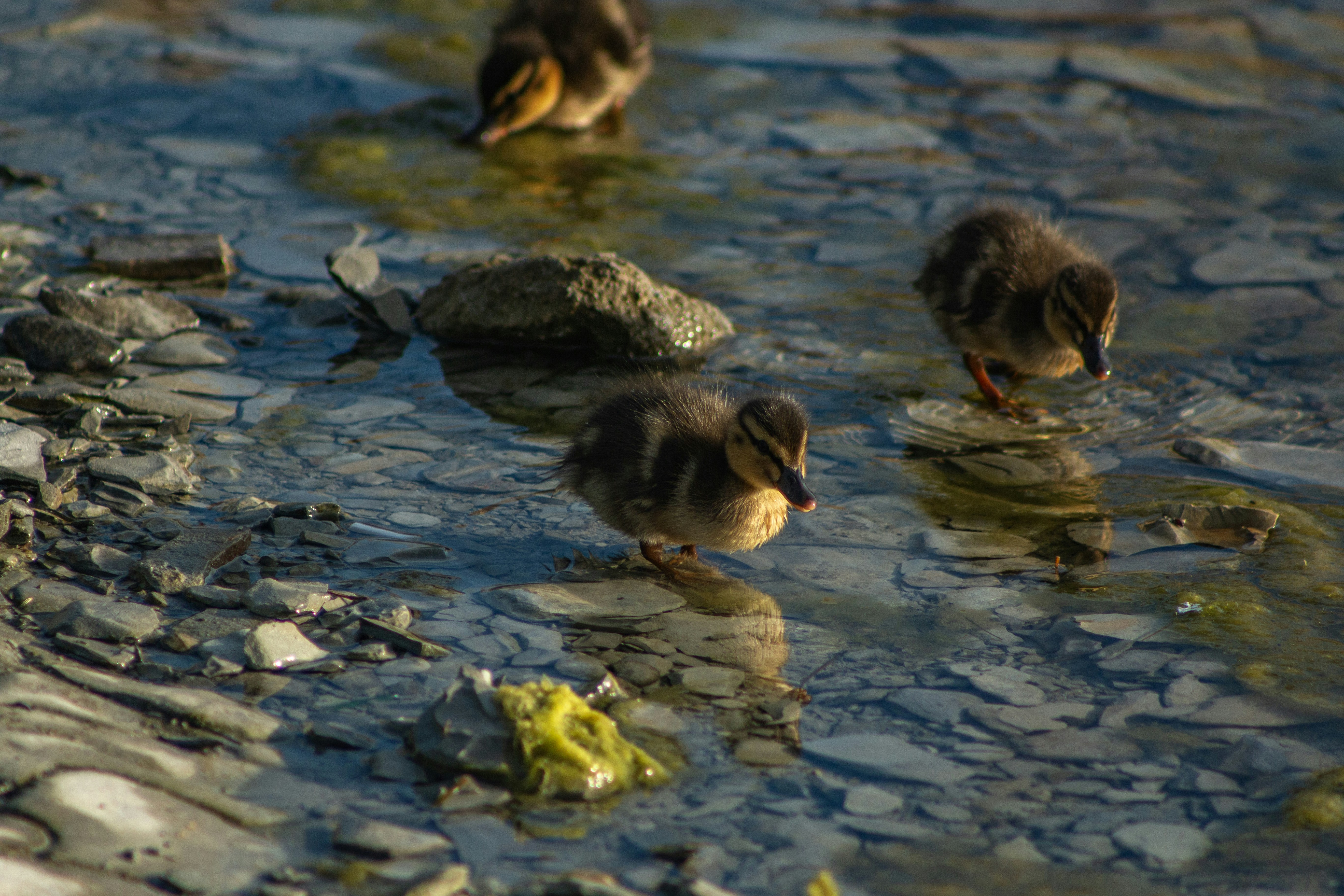Photo by stepan_konev