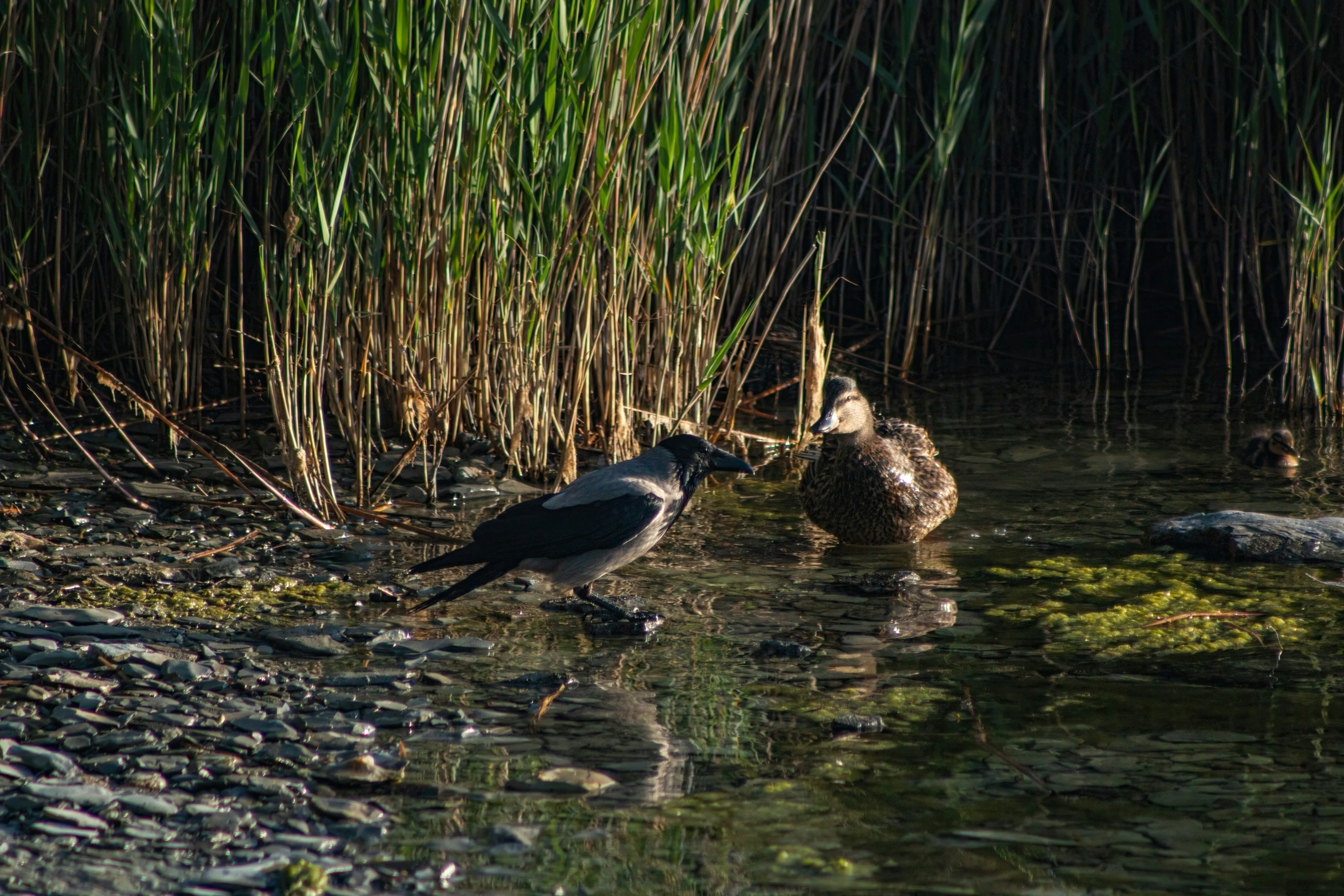 Photo by stepan_konev