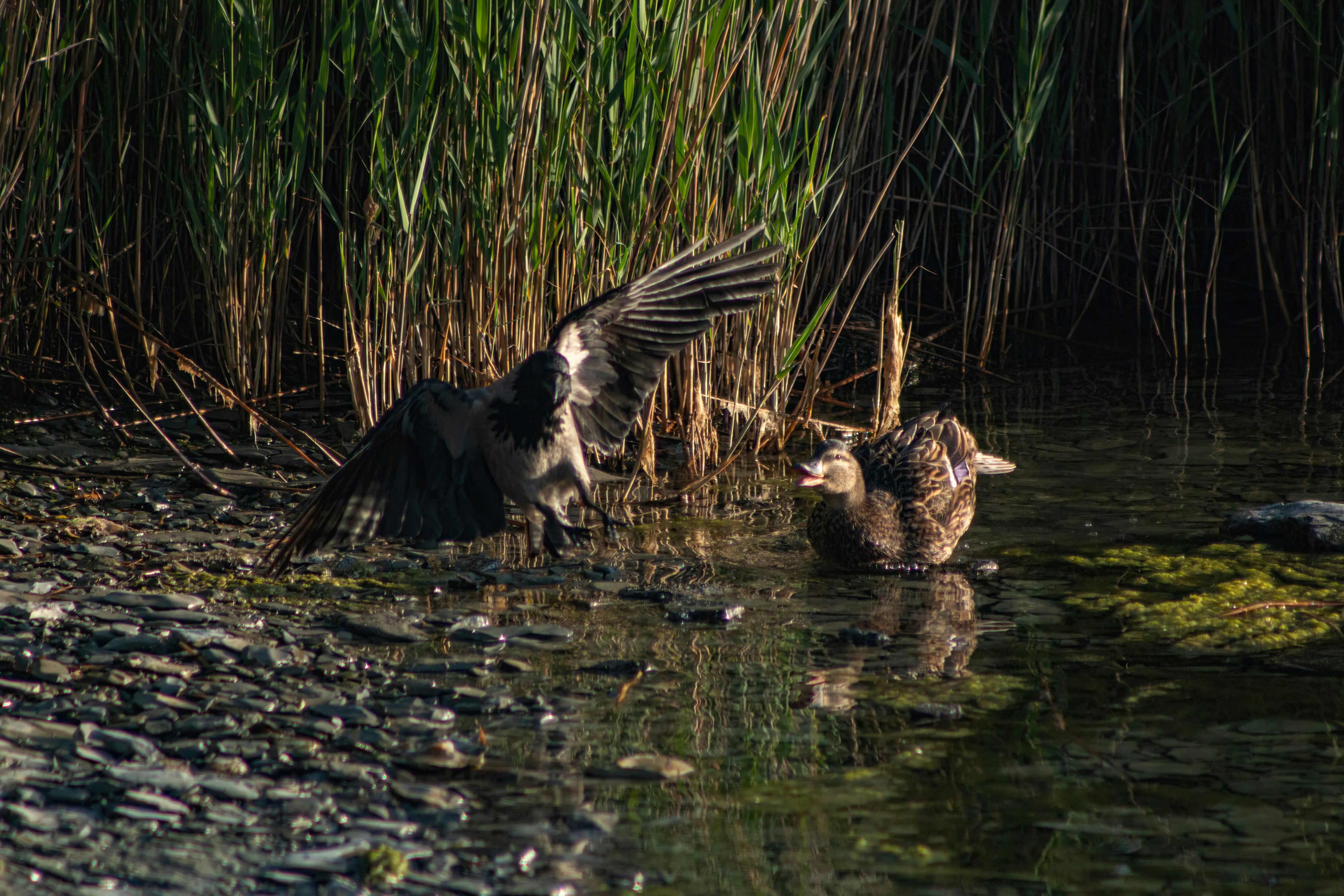 Photo by stepan_konev