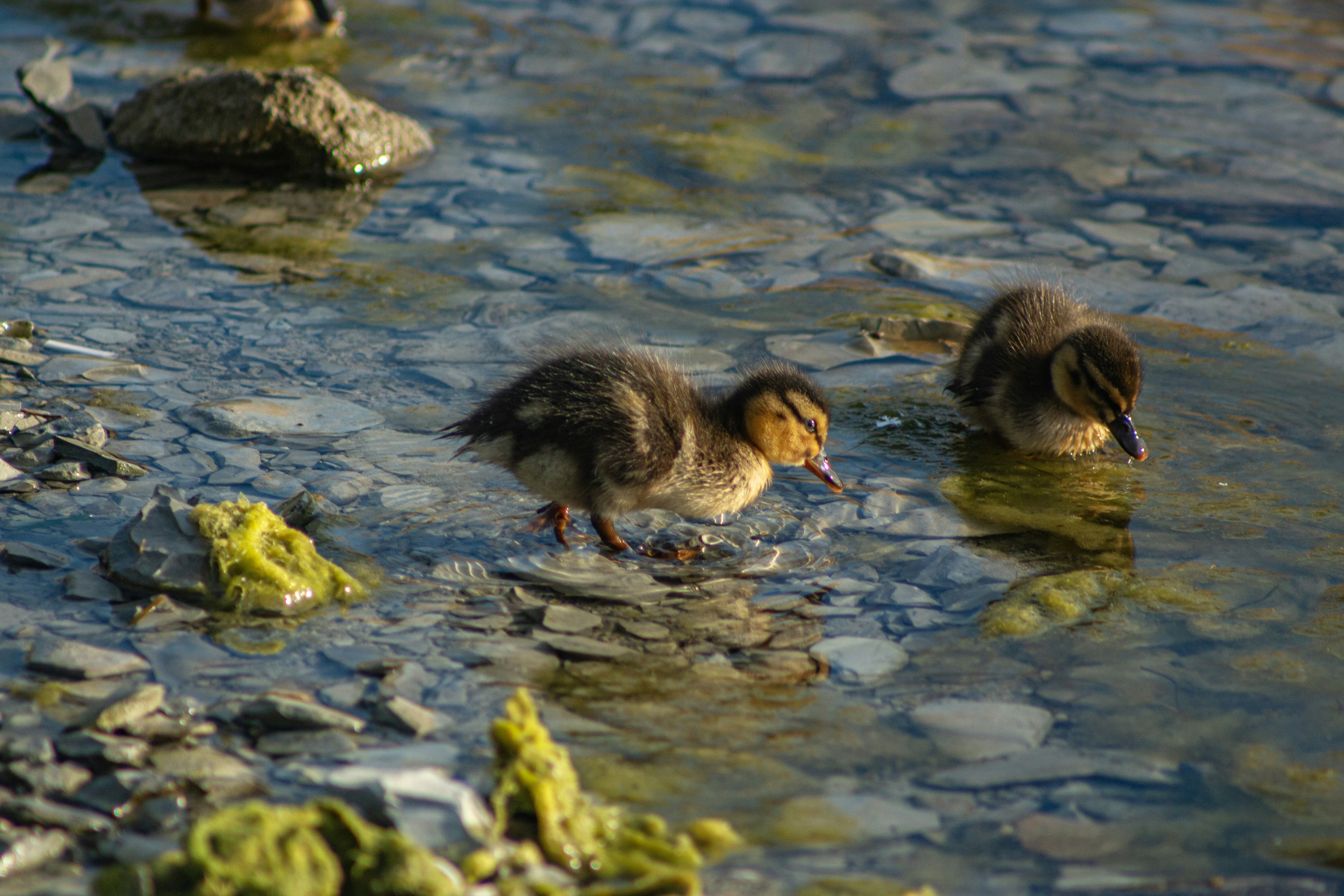 Photo by stepan_konev