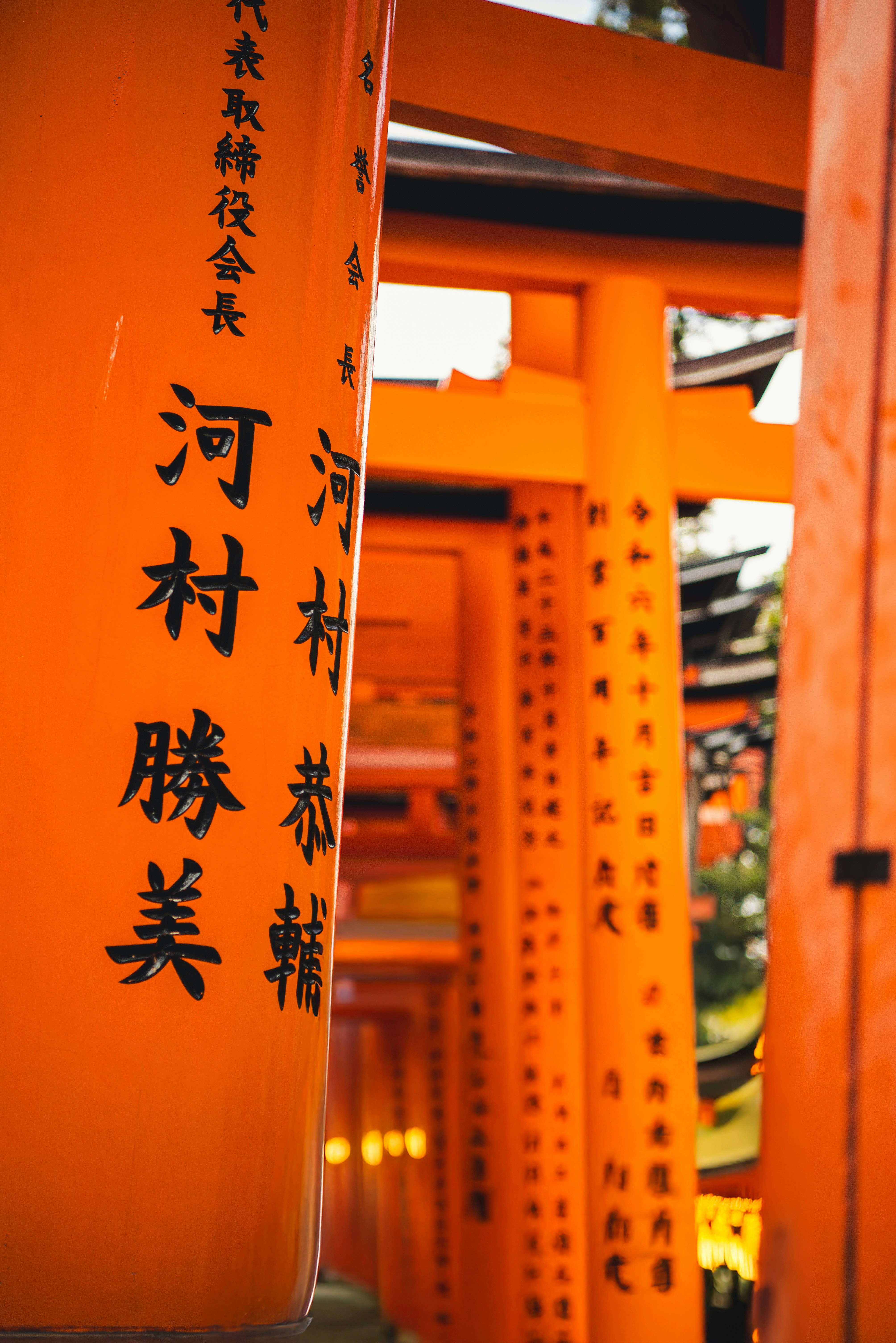 Photo by shotsbytania