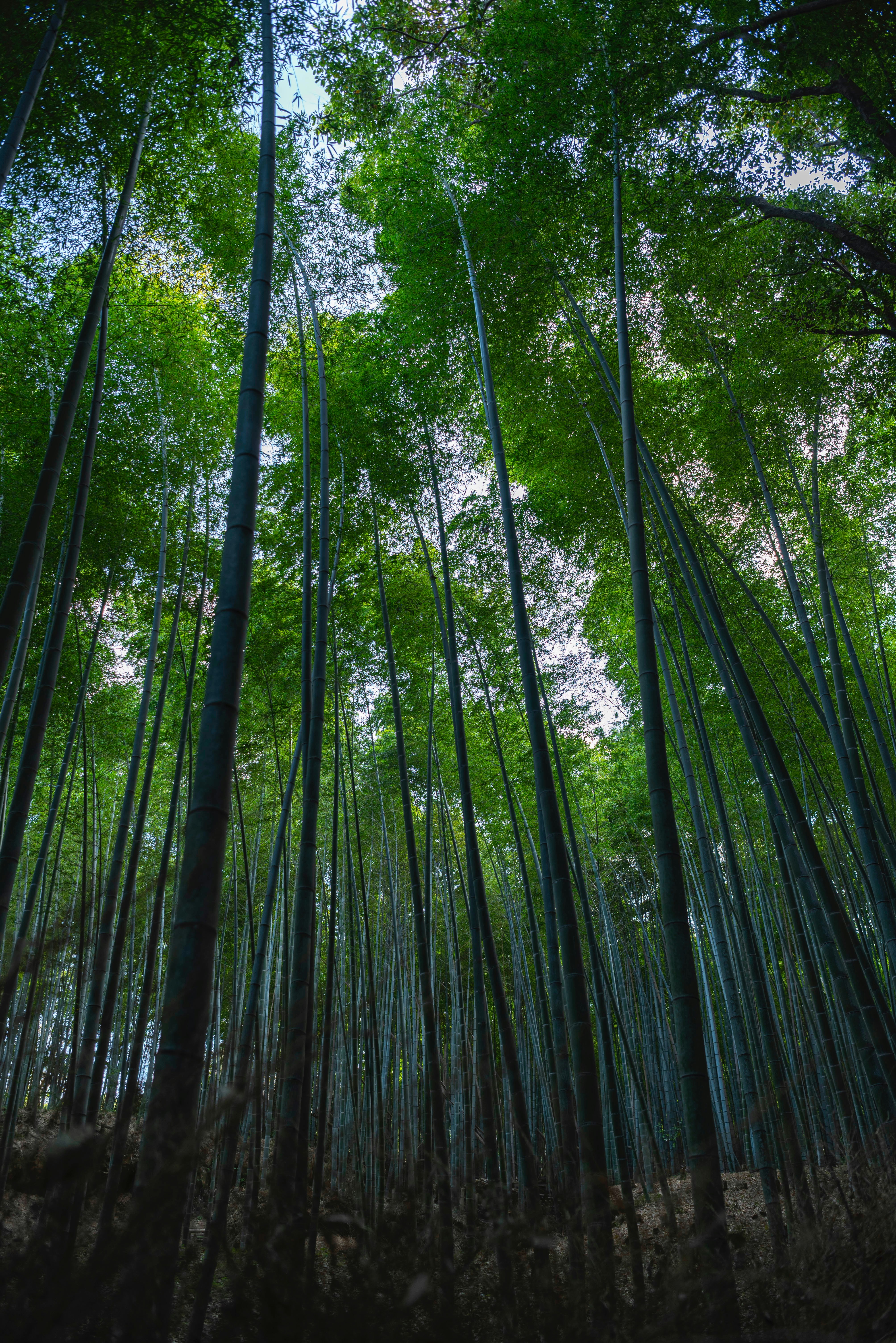 Photo by shotsbytania