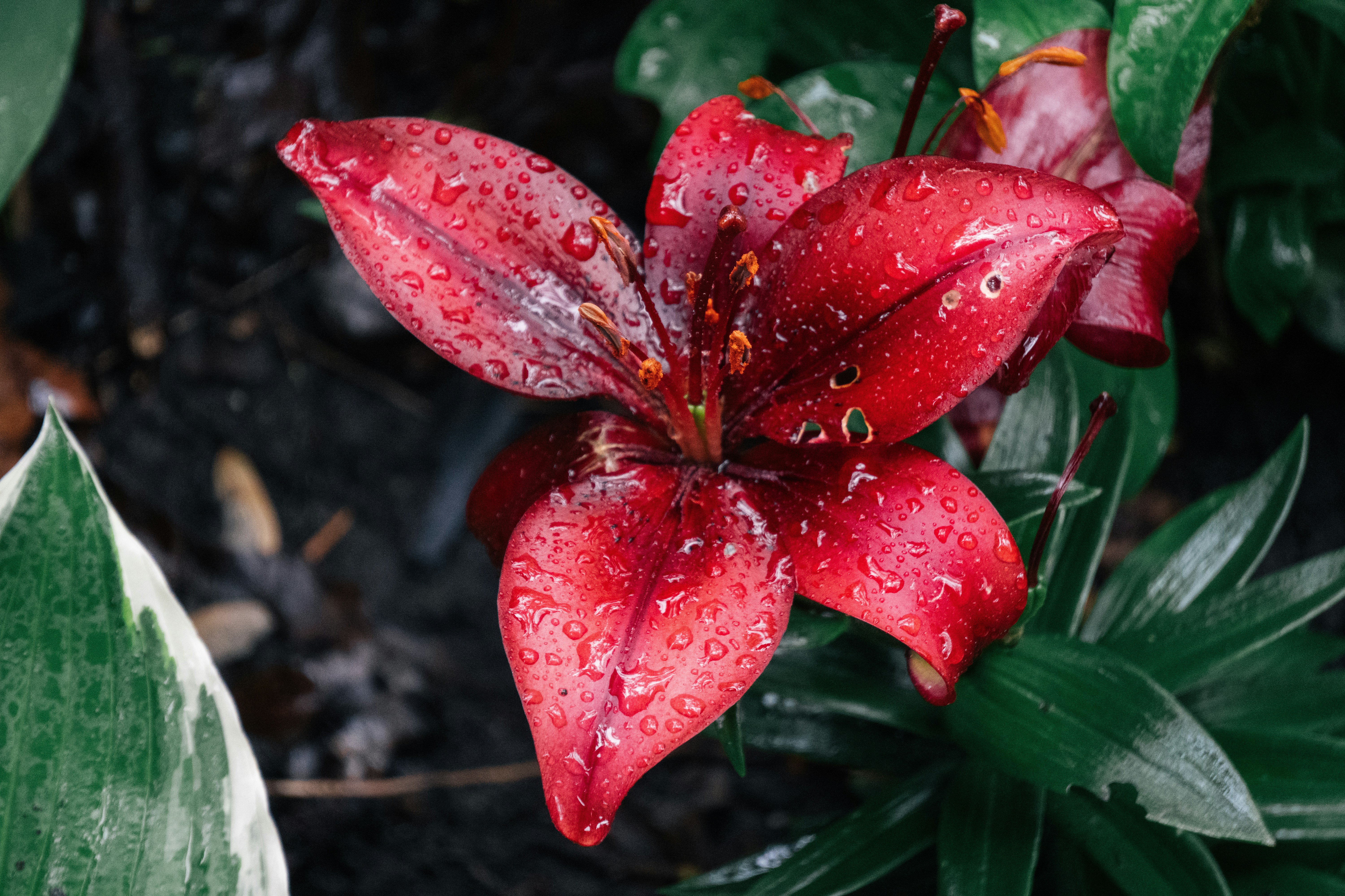 Photo by tellophotography