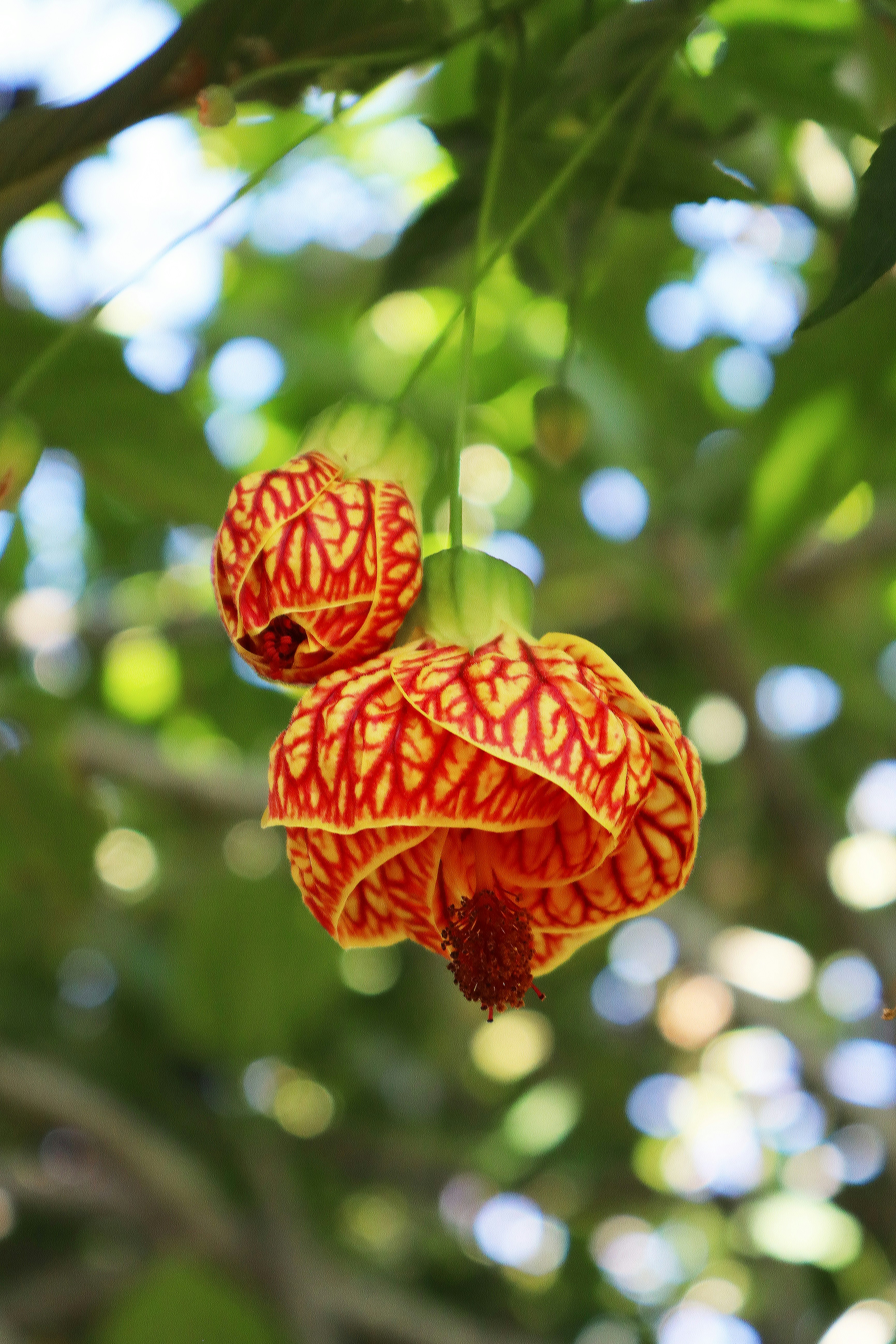 Photo by mirnawabisabi