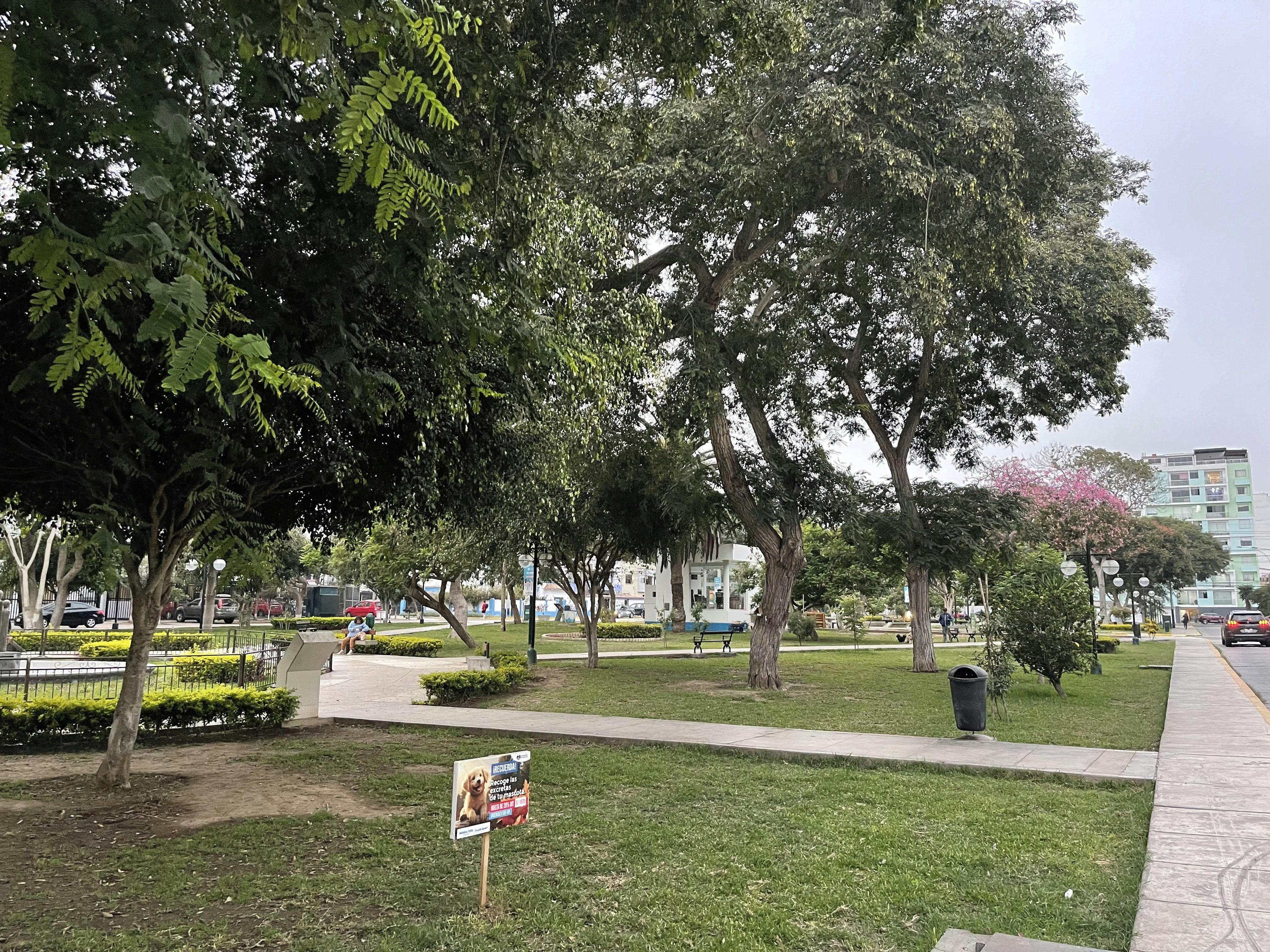 A park with green grass and many trees.