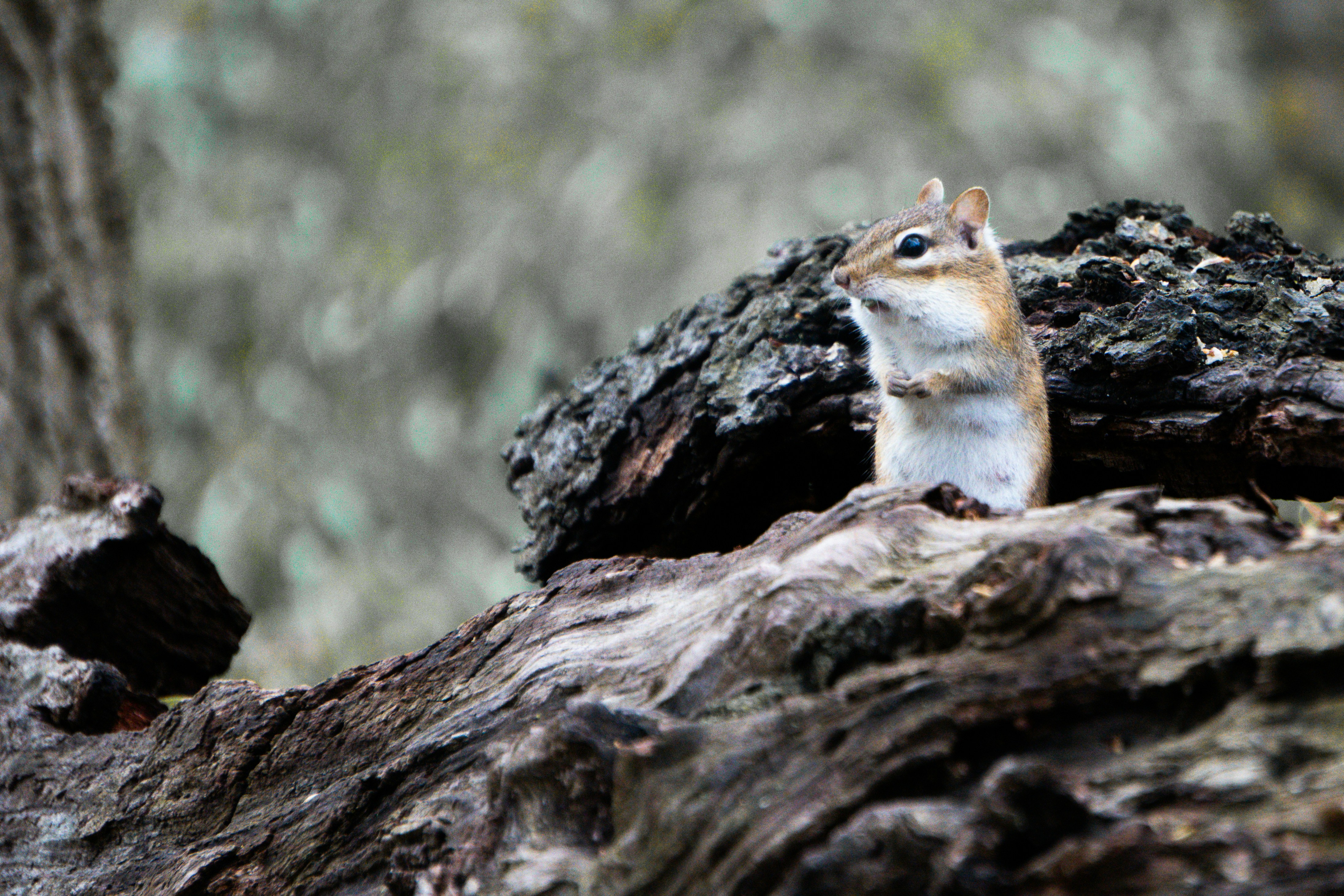 Photo by tellophotography