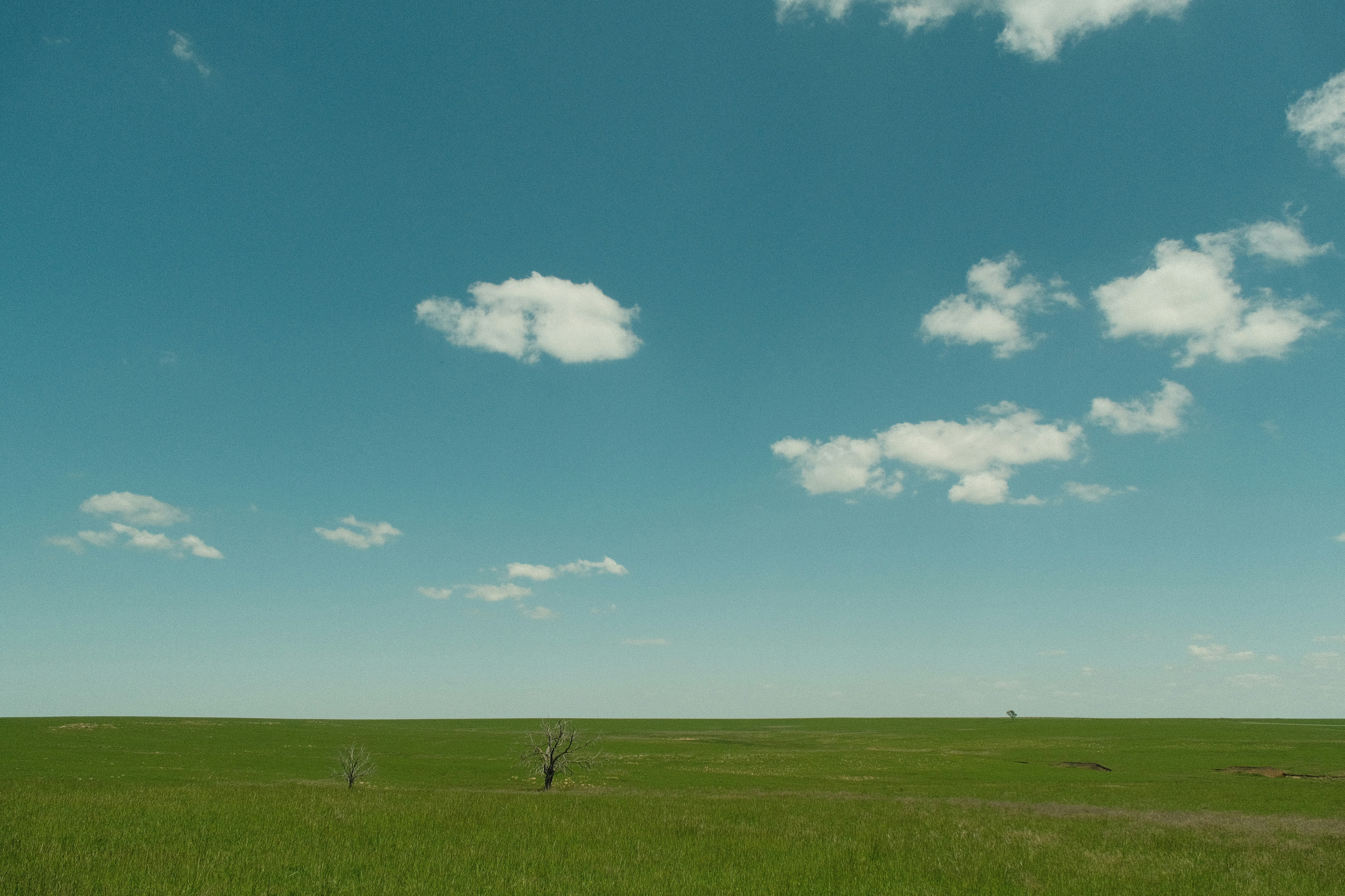 Green field under a clear, cloudy blue sky.