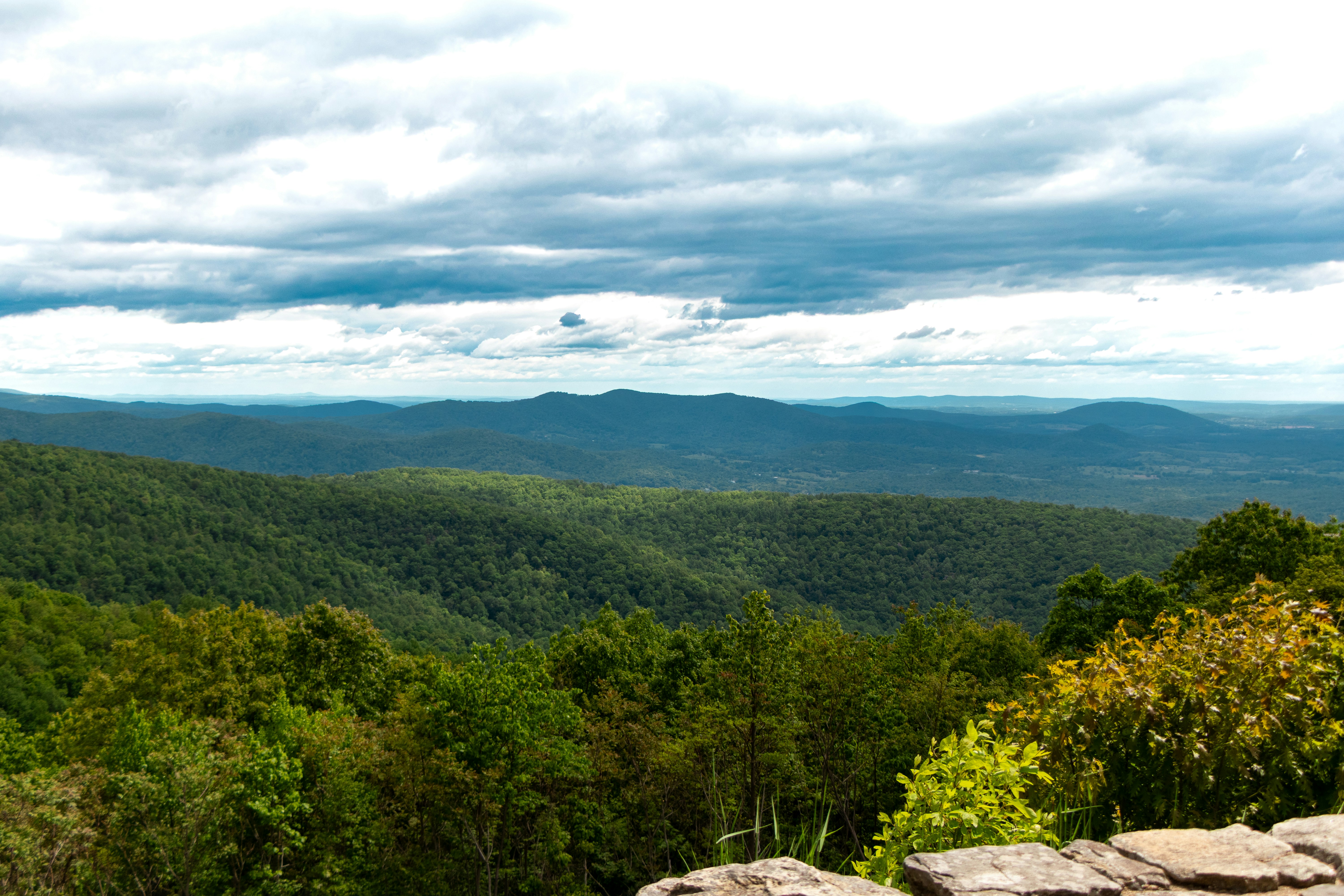 Photo by veerender_mothukuri