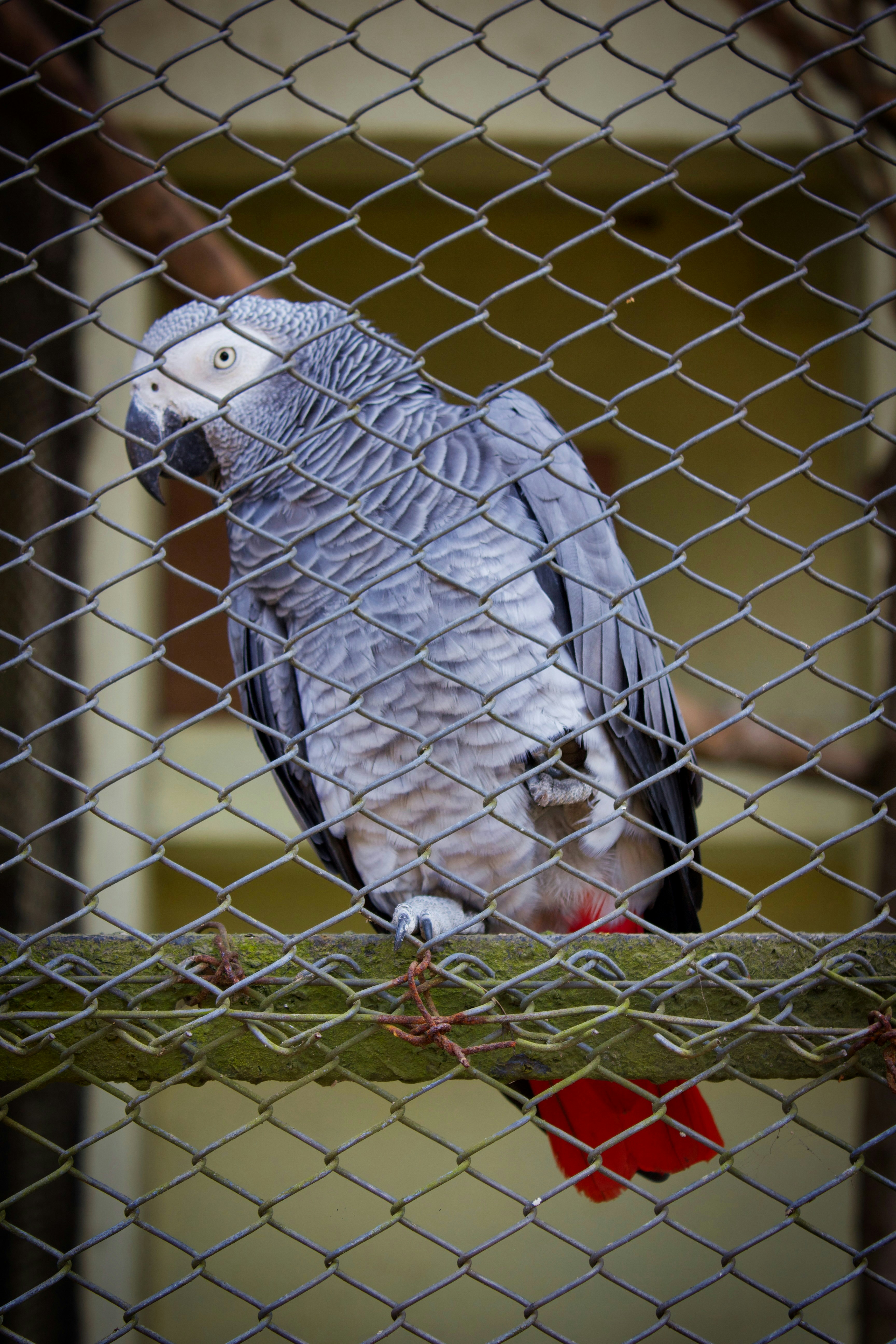 Photo by that_bored_beast