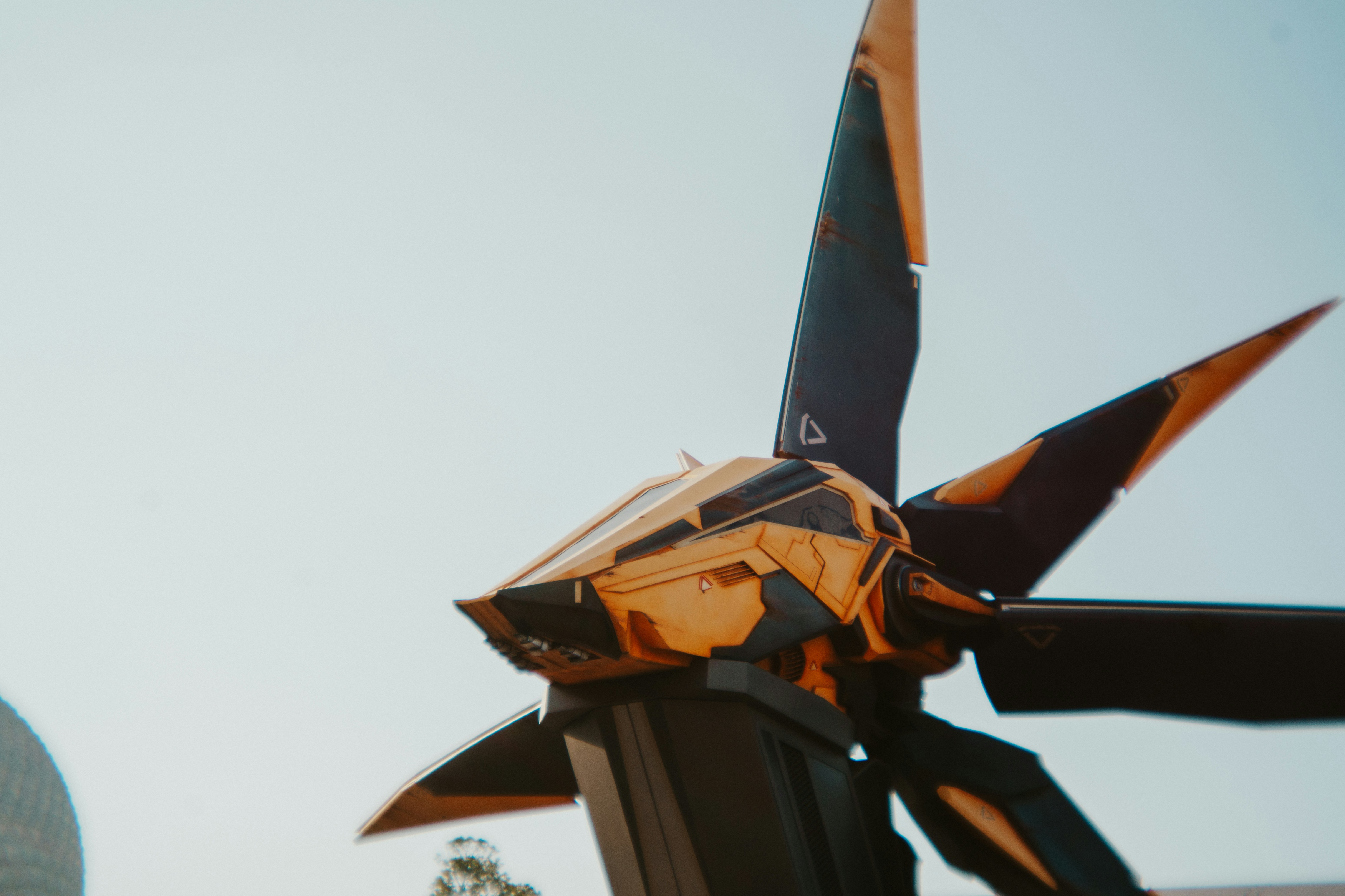 Photo by nickfuentes_