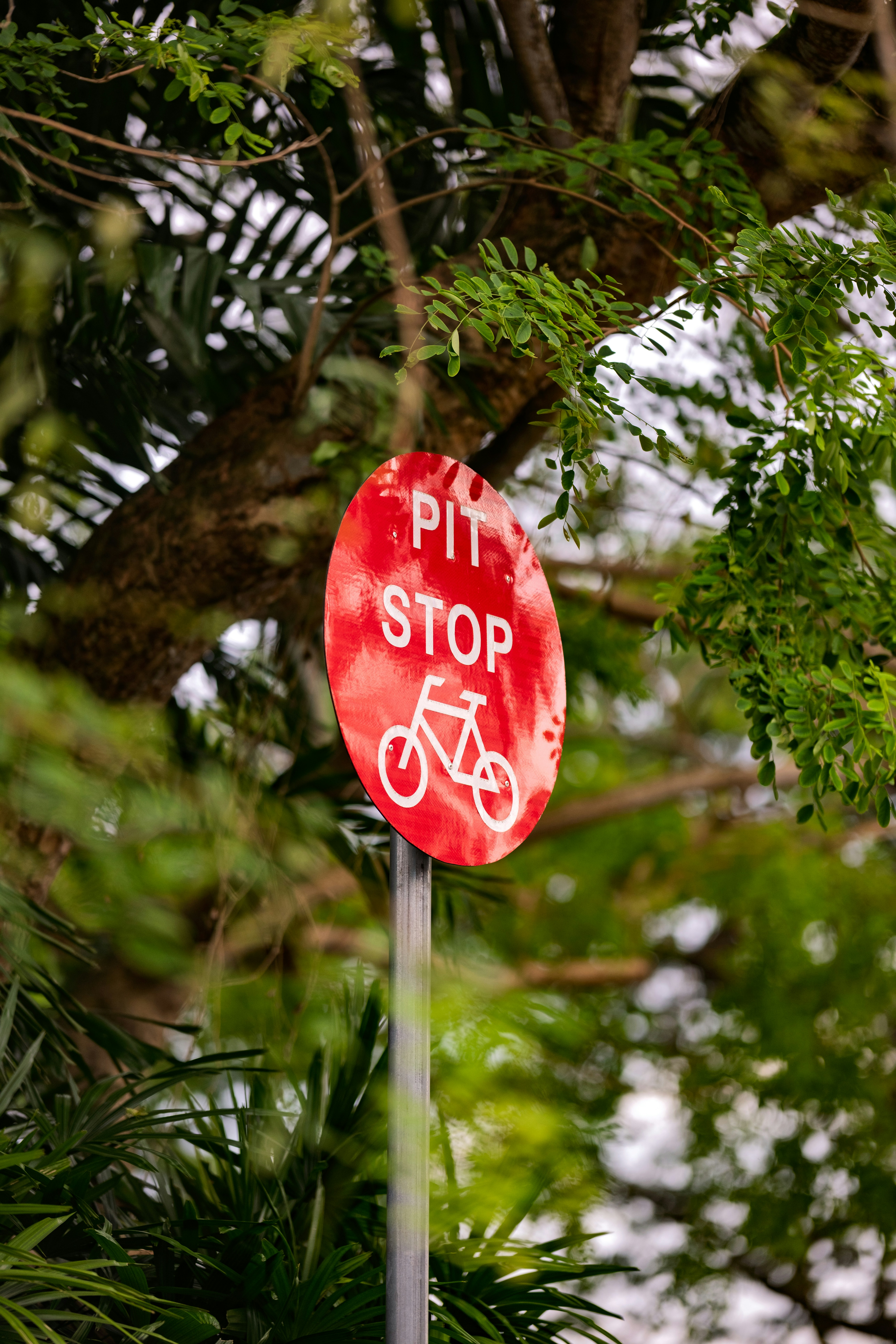 Bike pit stop sign amidst lush greenery.