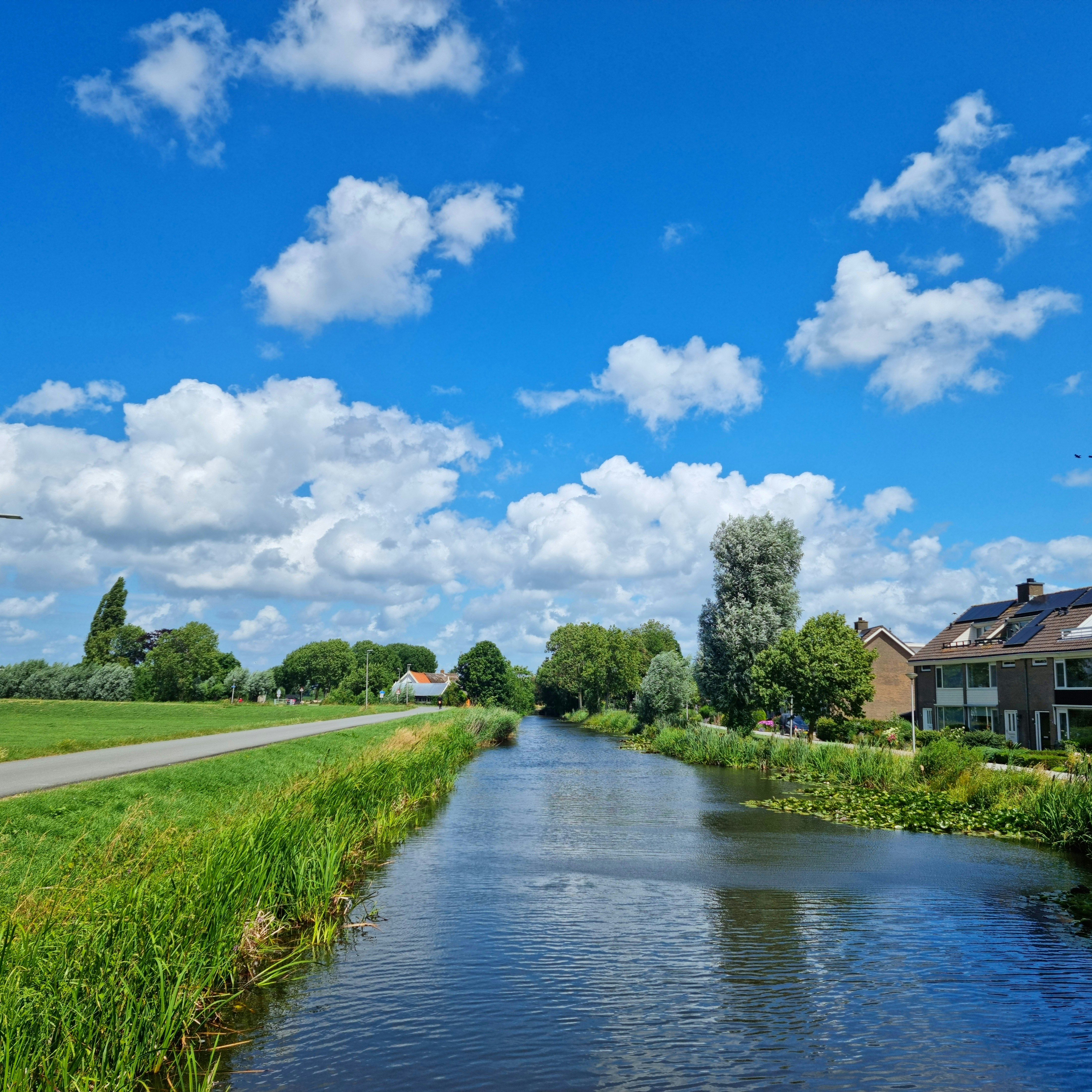 Photo by mohammadafshar2030