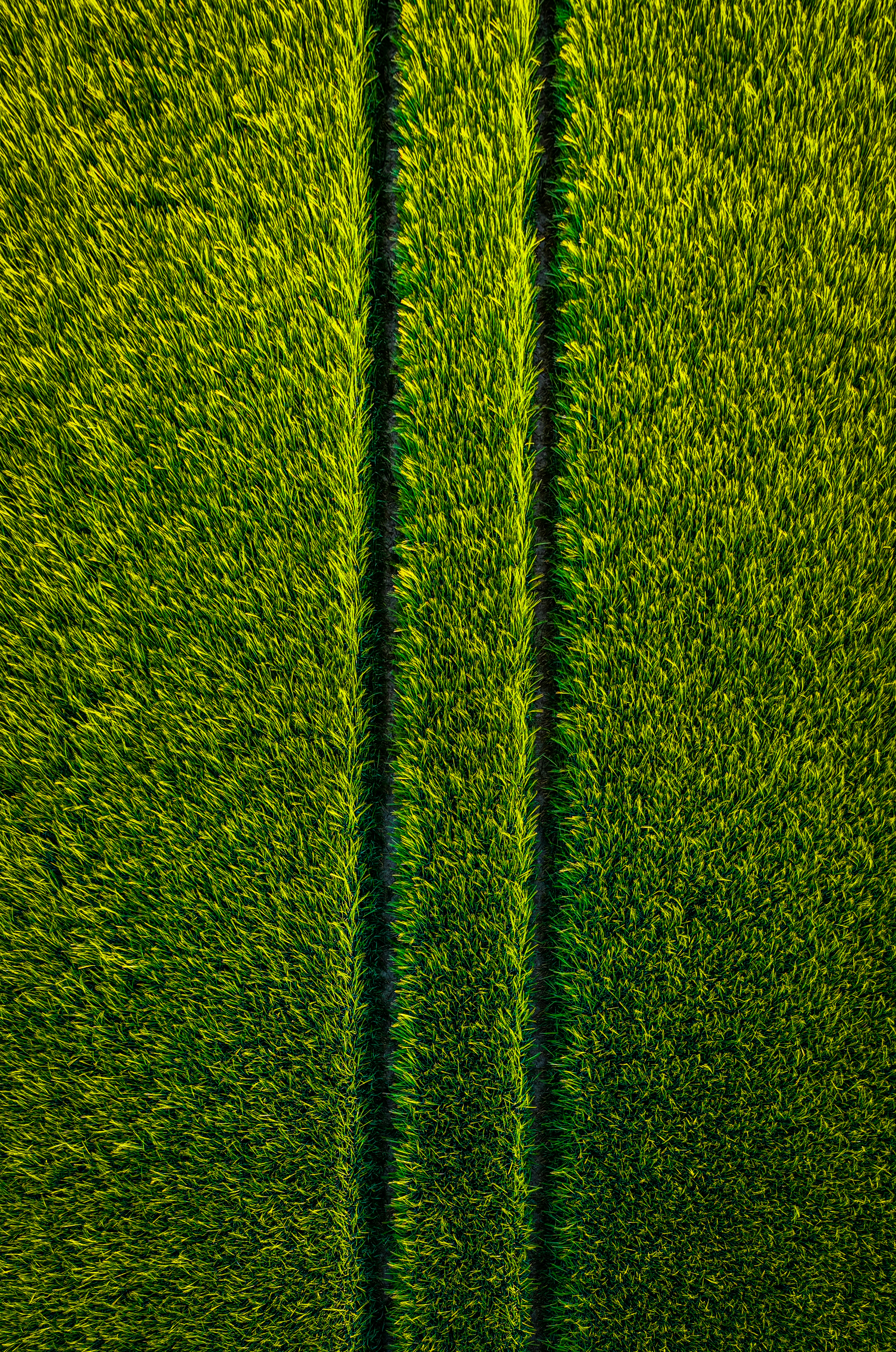 Aerial view of a vibrant green field.