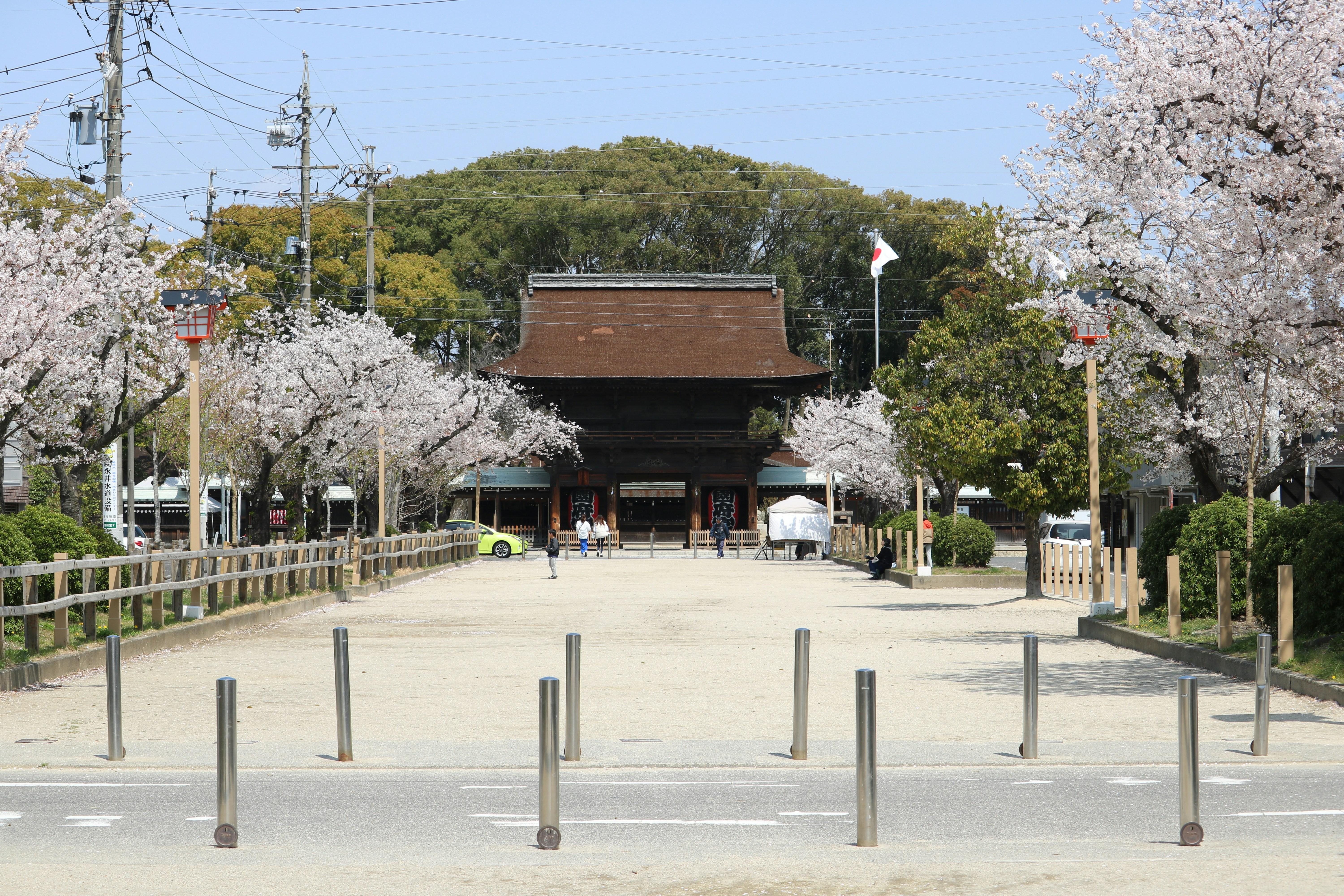 A japanese temple is framed by blooming cherry trees.