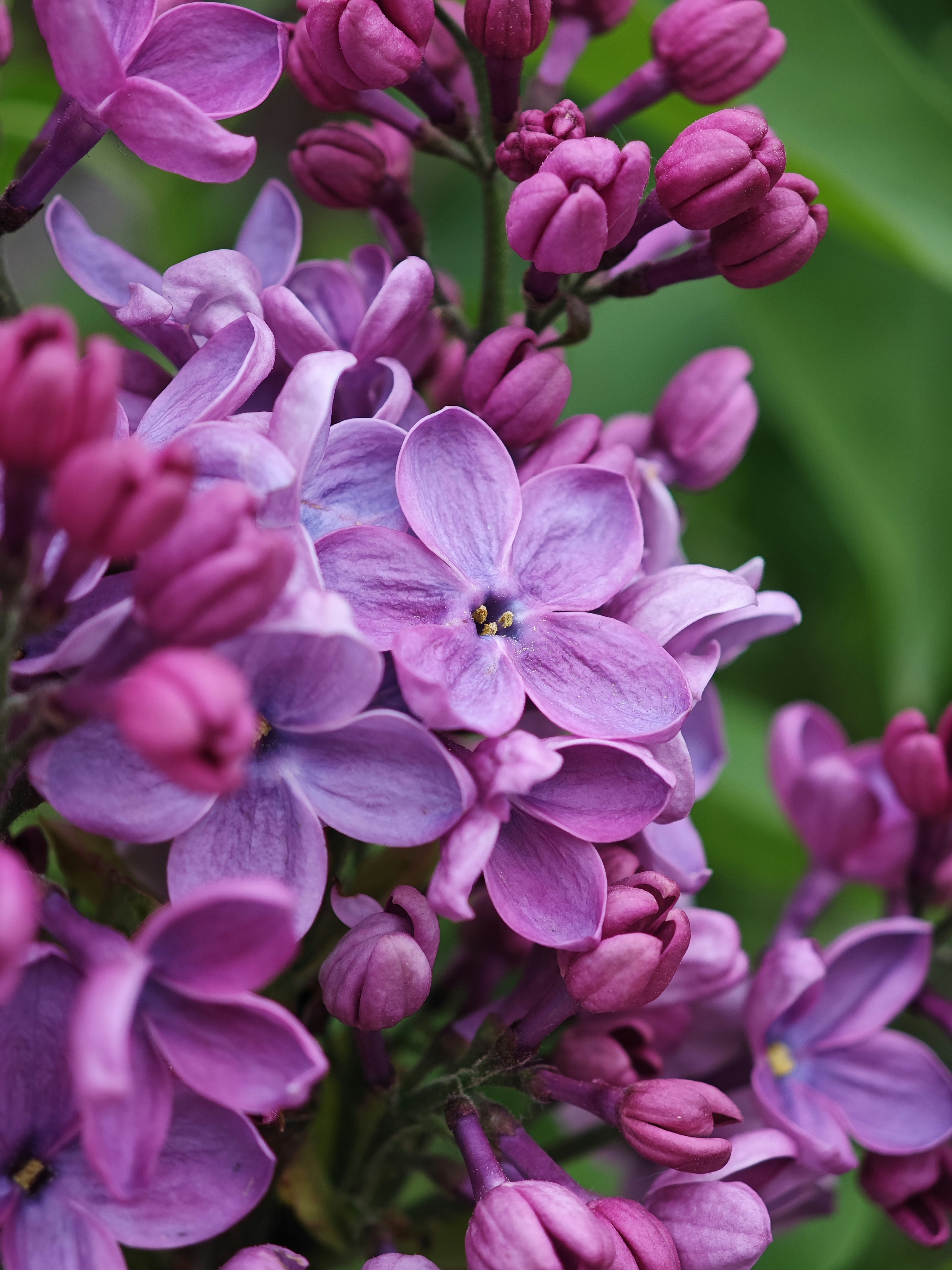 Photo by arcturus_154242273