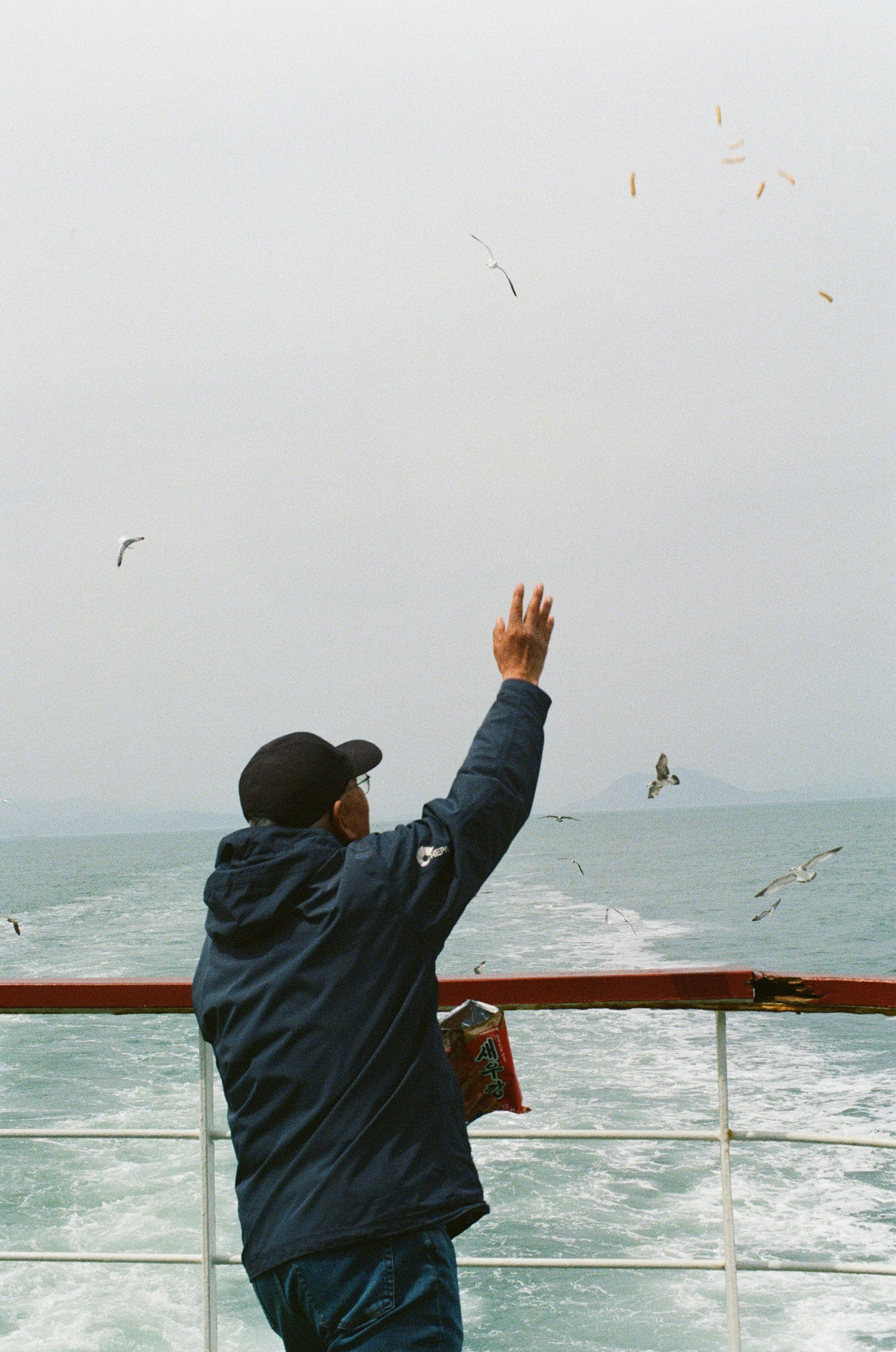A man feeds birds from a boat.