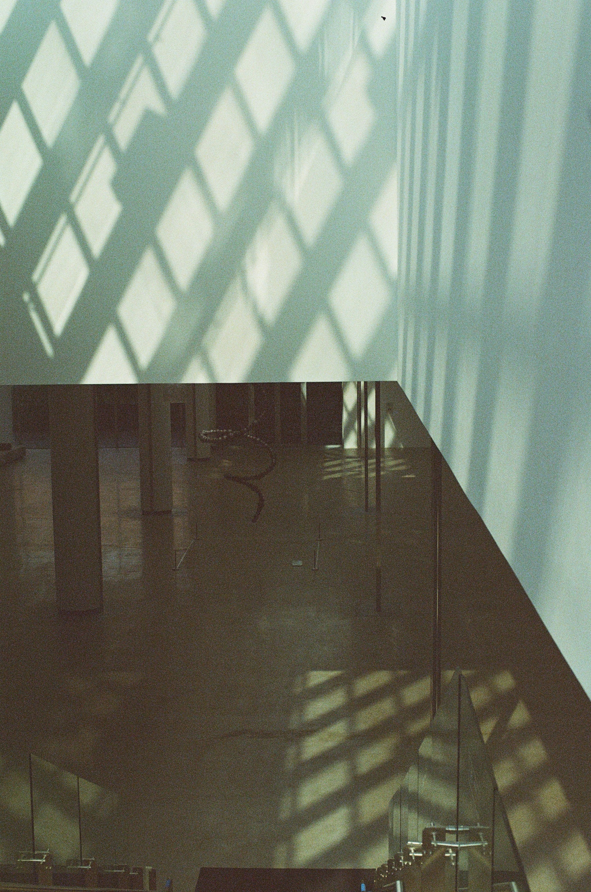 Photo by hanzlog