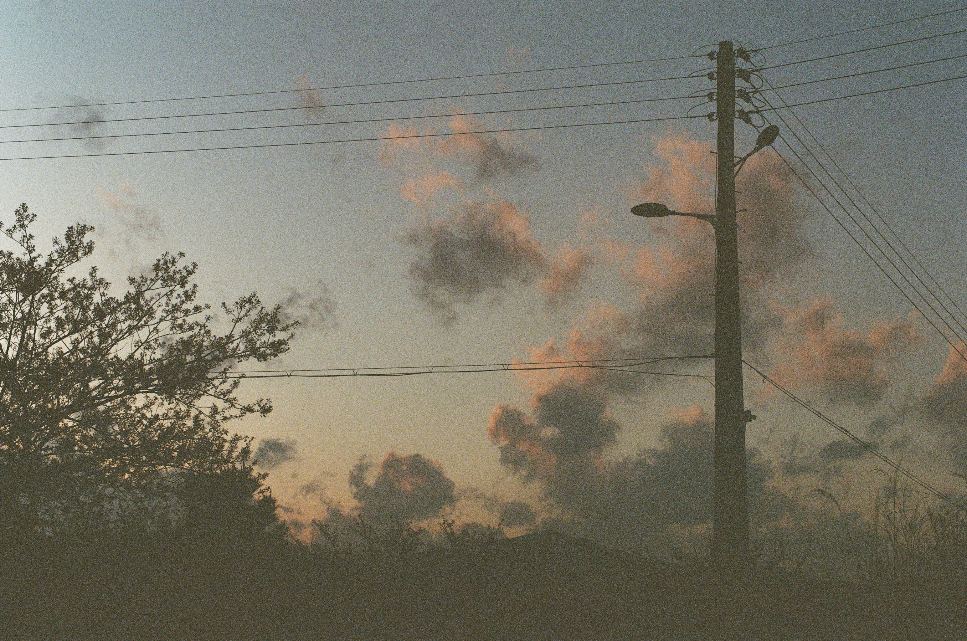 Photo by hanzlog
