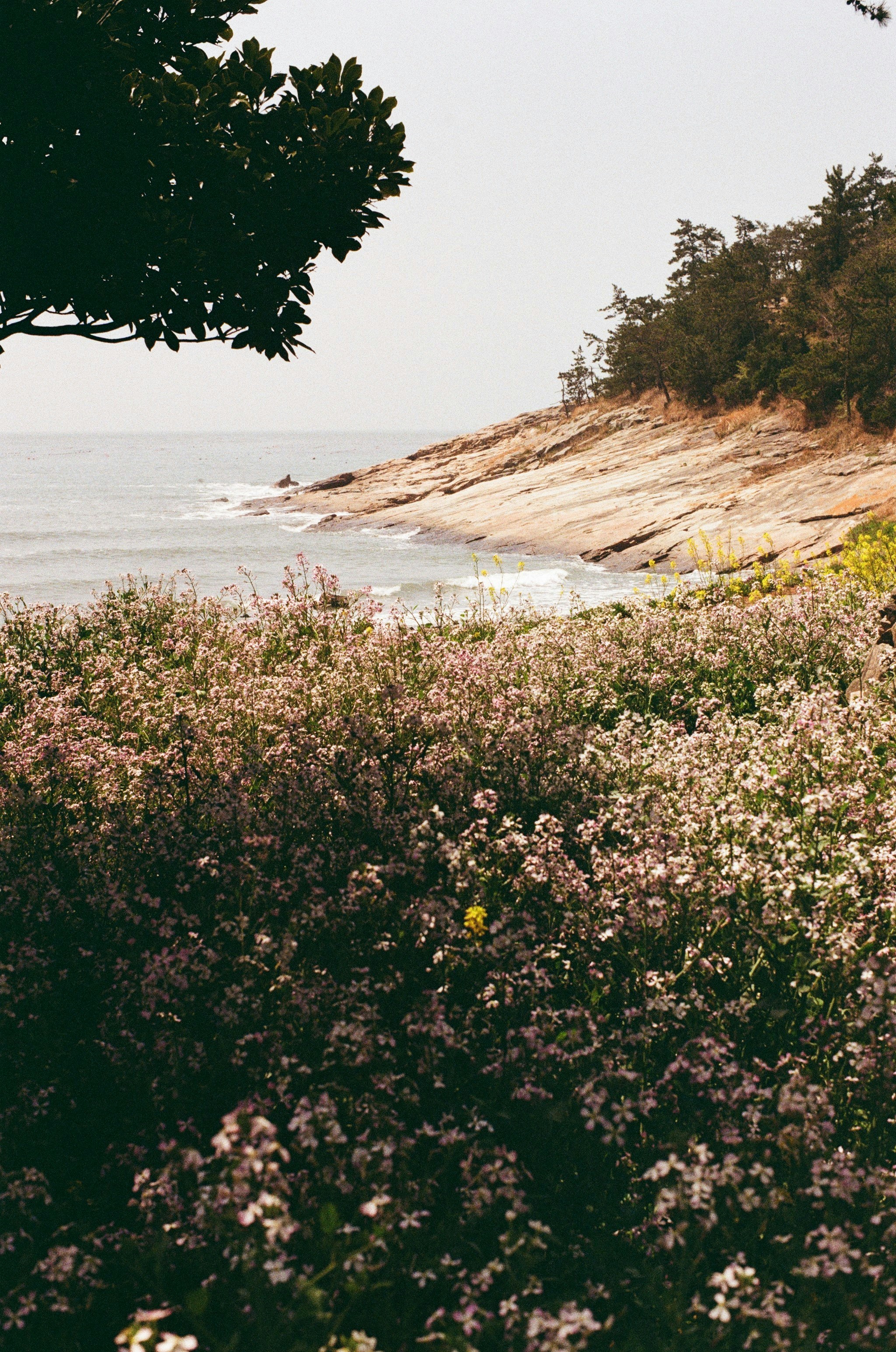 Photo by hanzlog