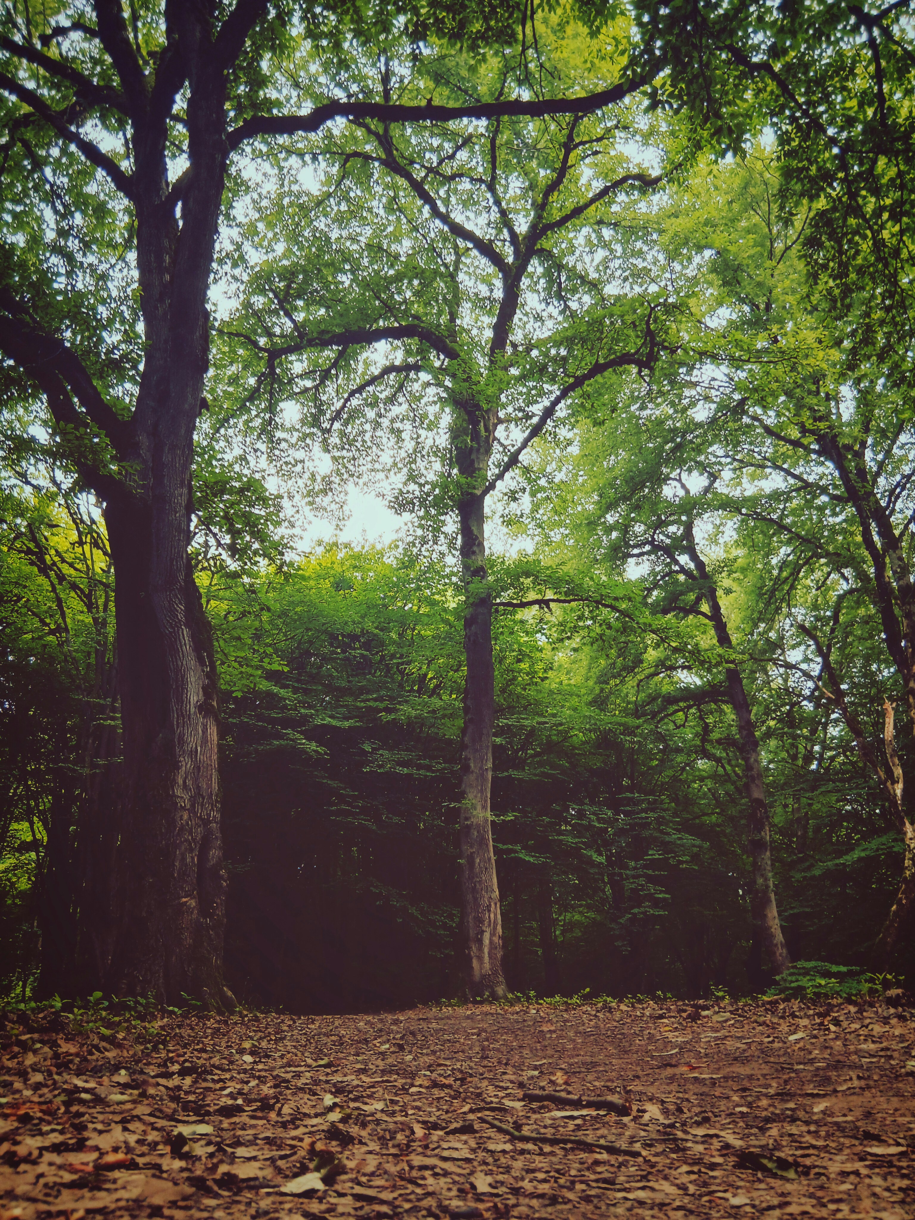 Photo by arman96