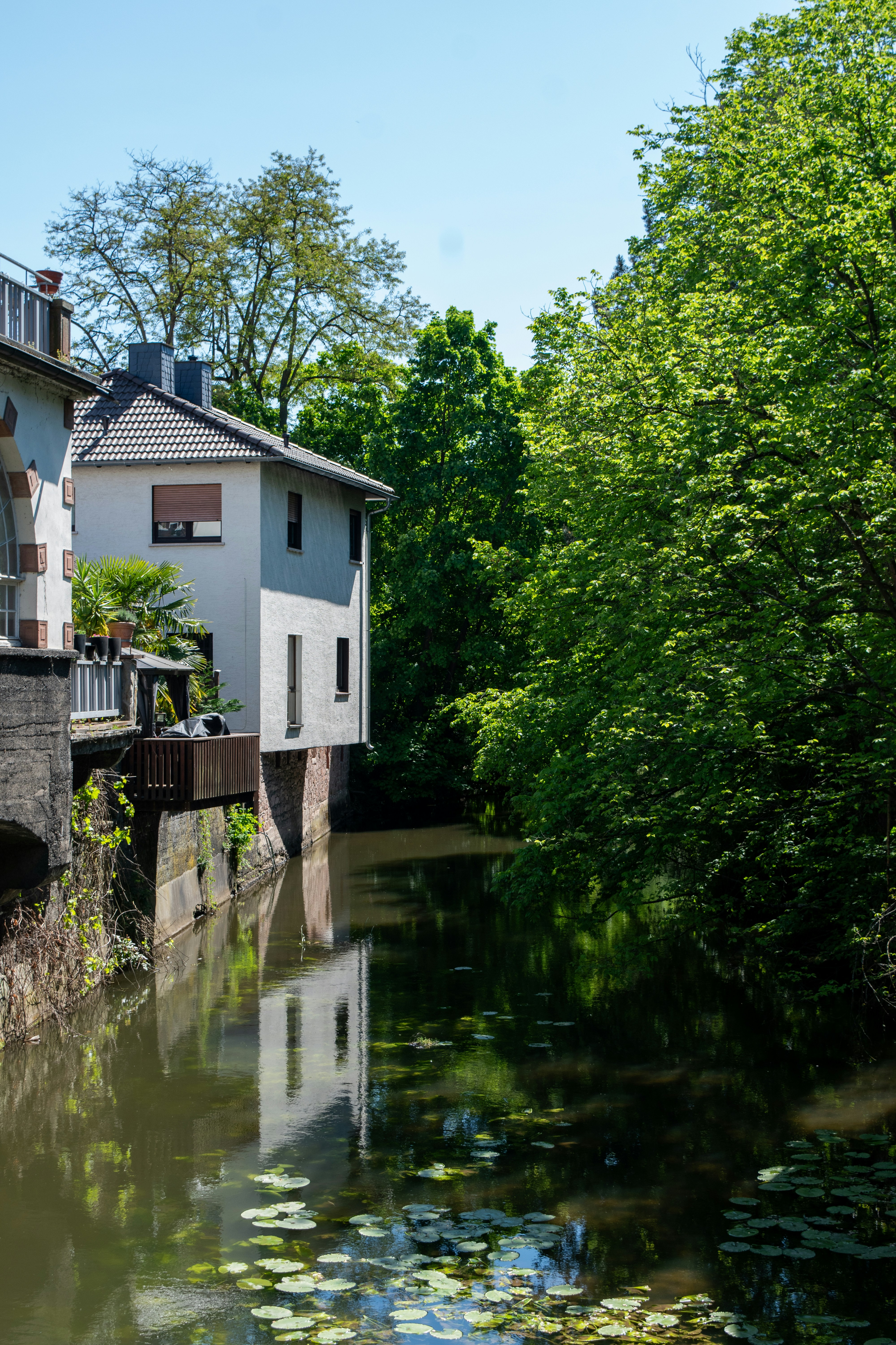 Photo by ahmed_sl___