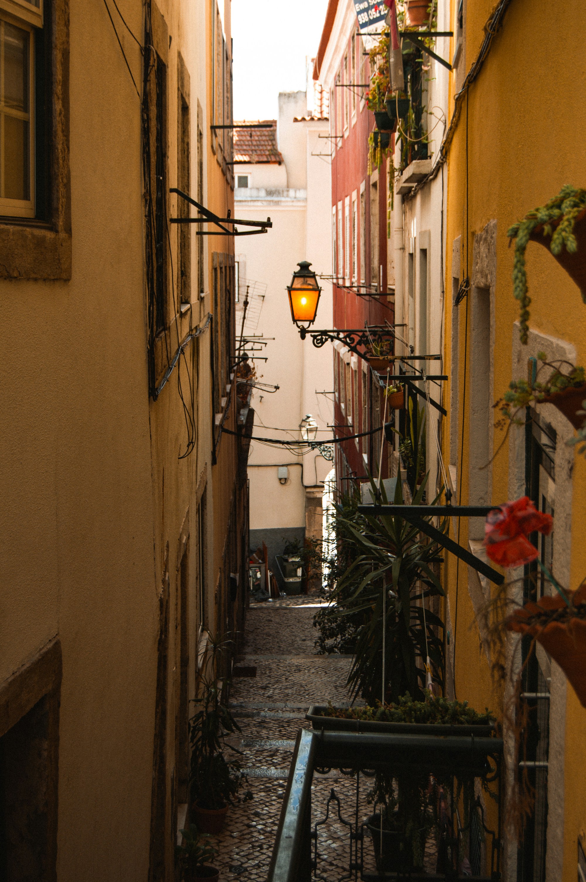 Photo by dina_eichholzer