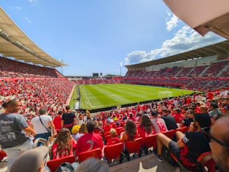 Football fans watch a game at Mallorca football Stadium Son Moix