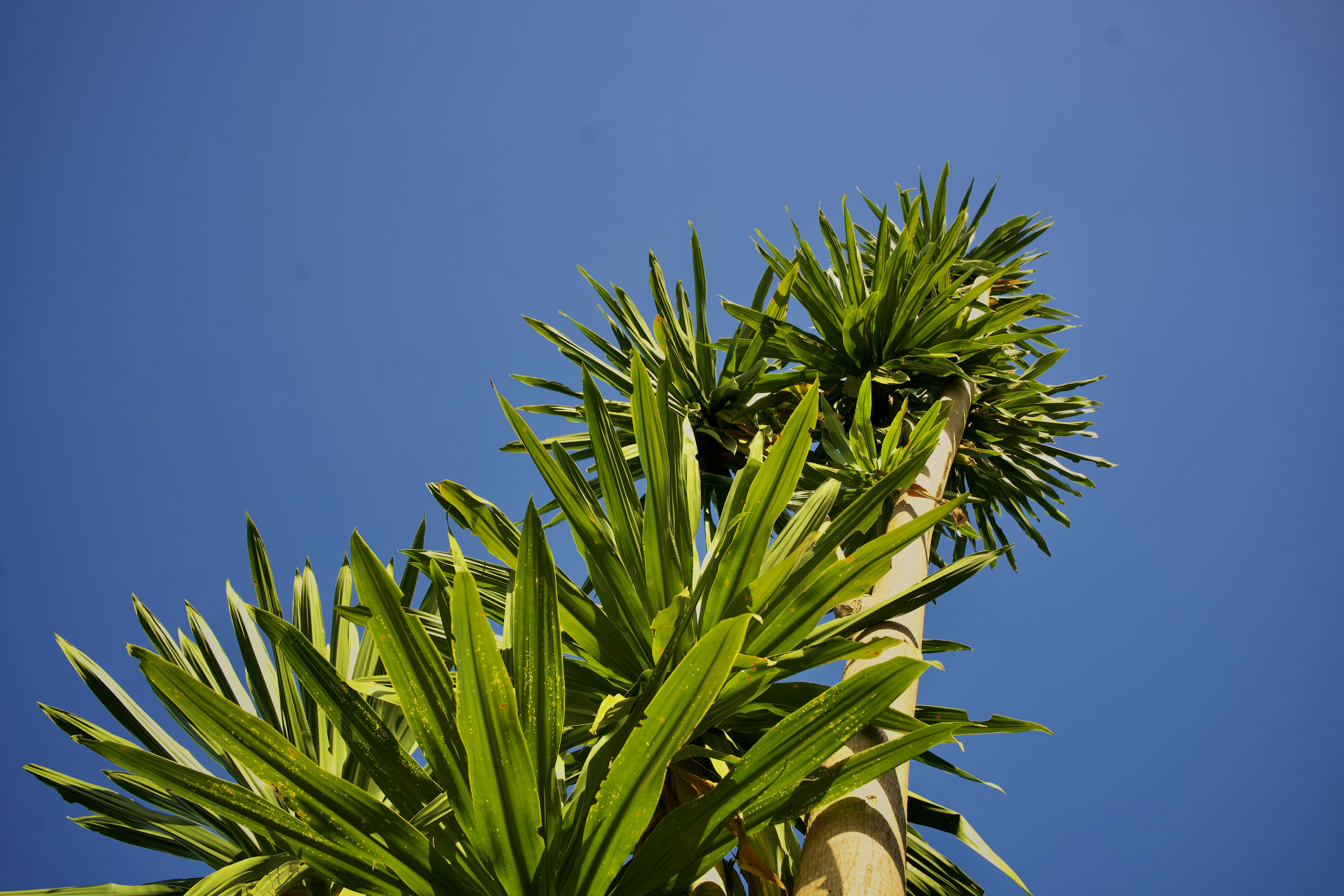 Photo by spenz_official