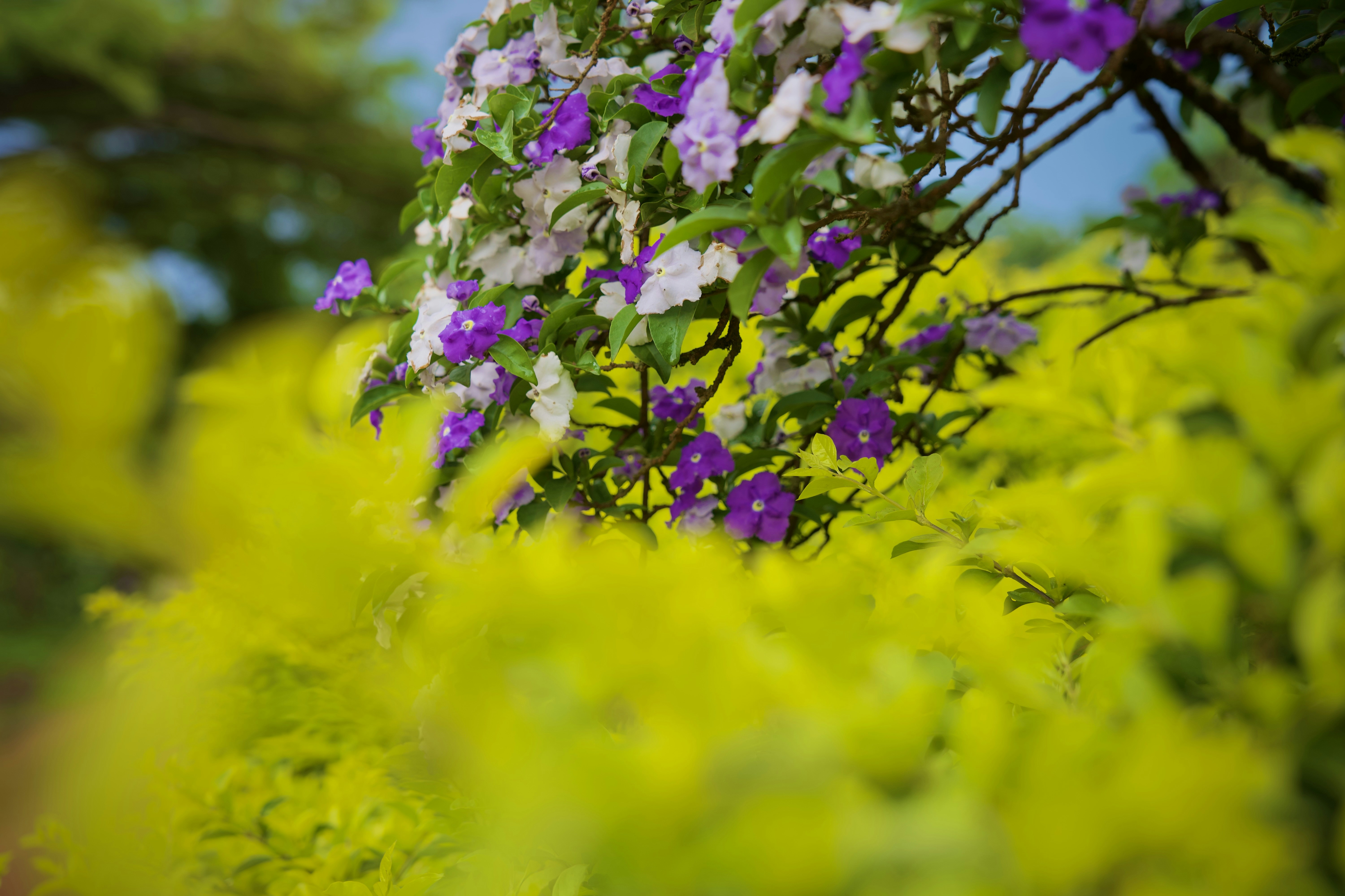 Photo by spenz_official