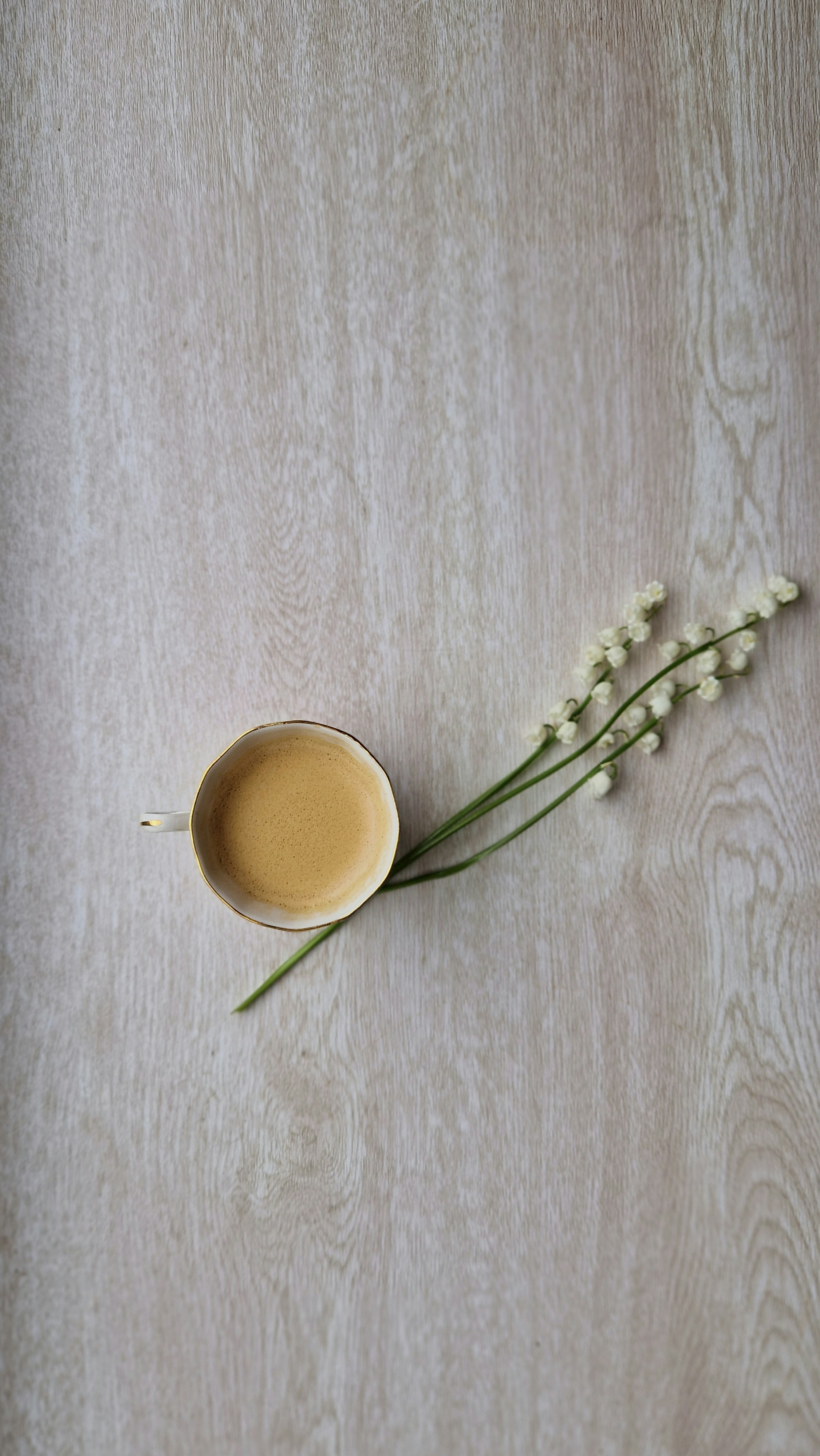 Photo by dmushtaieva