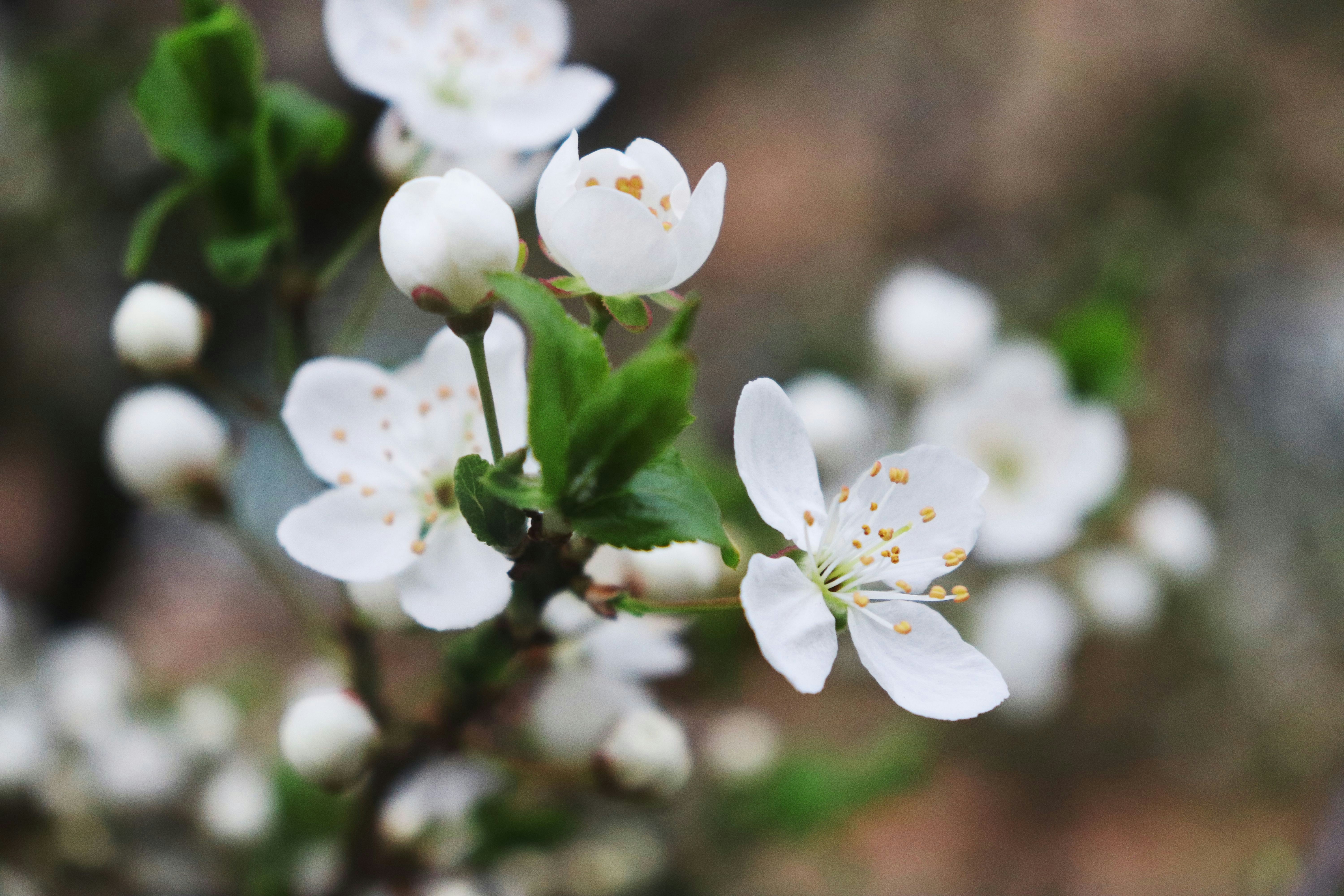 Photo by stasiaspark