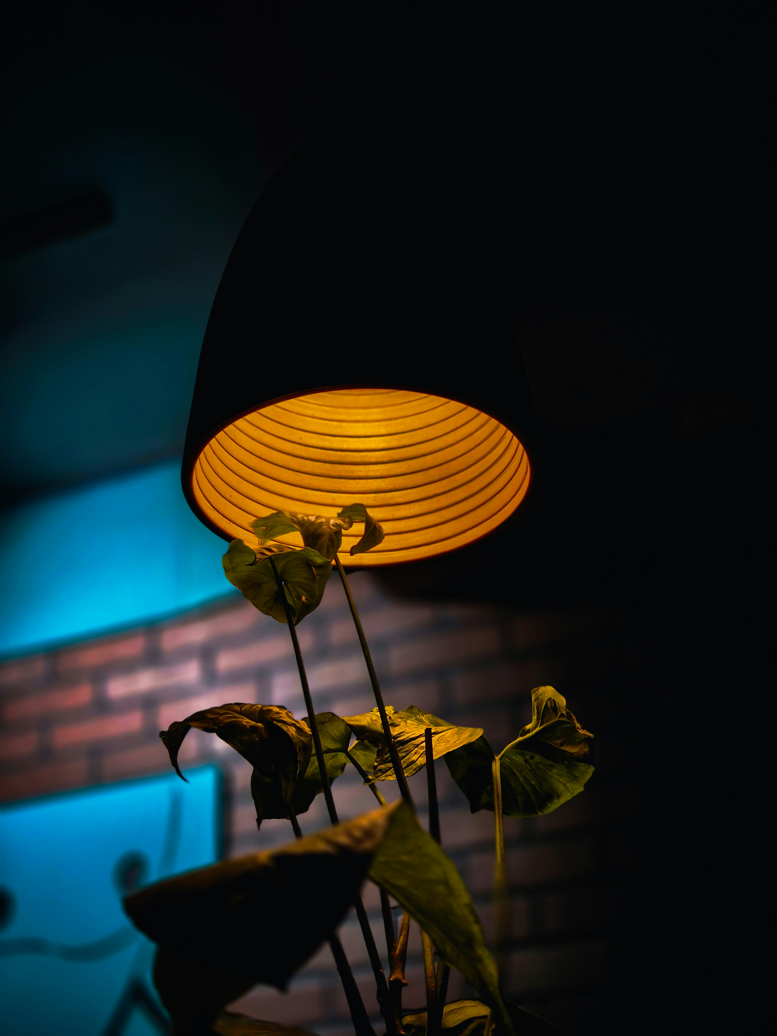 Photo by adhitya_2505