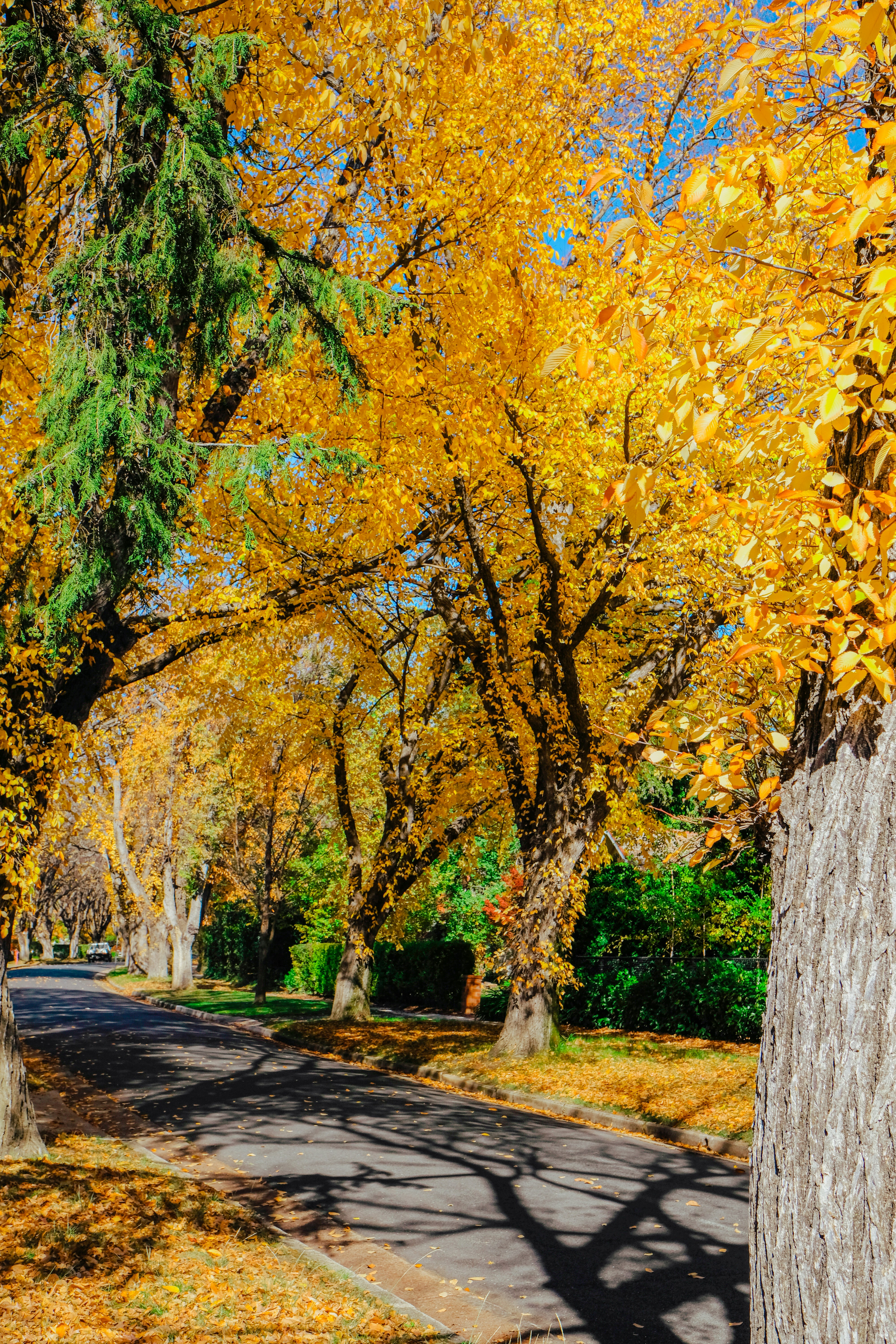 Photo by anniehatuanh