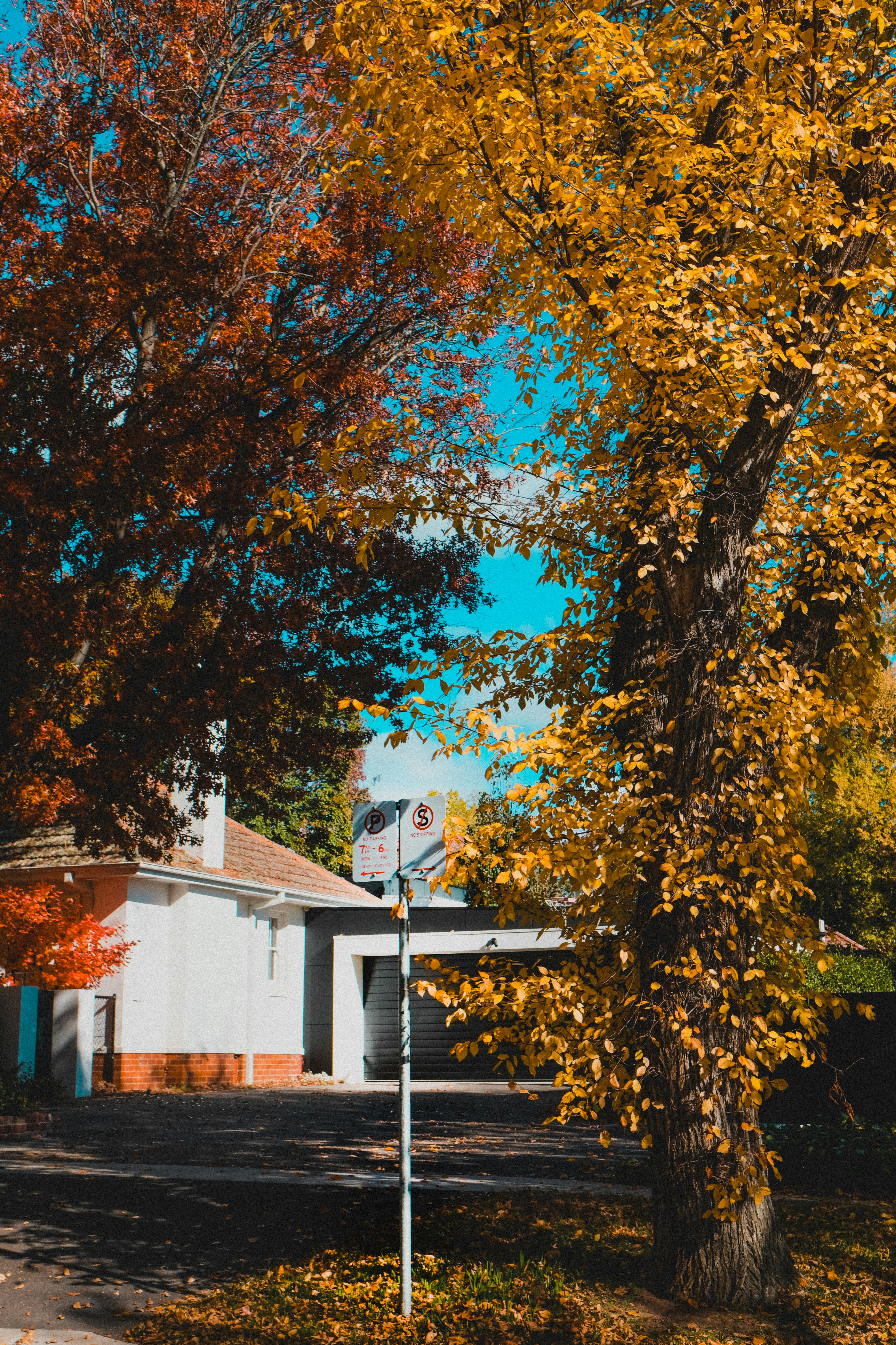 Photo by anniehatuanh