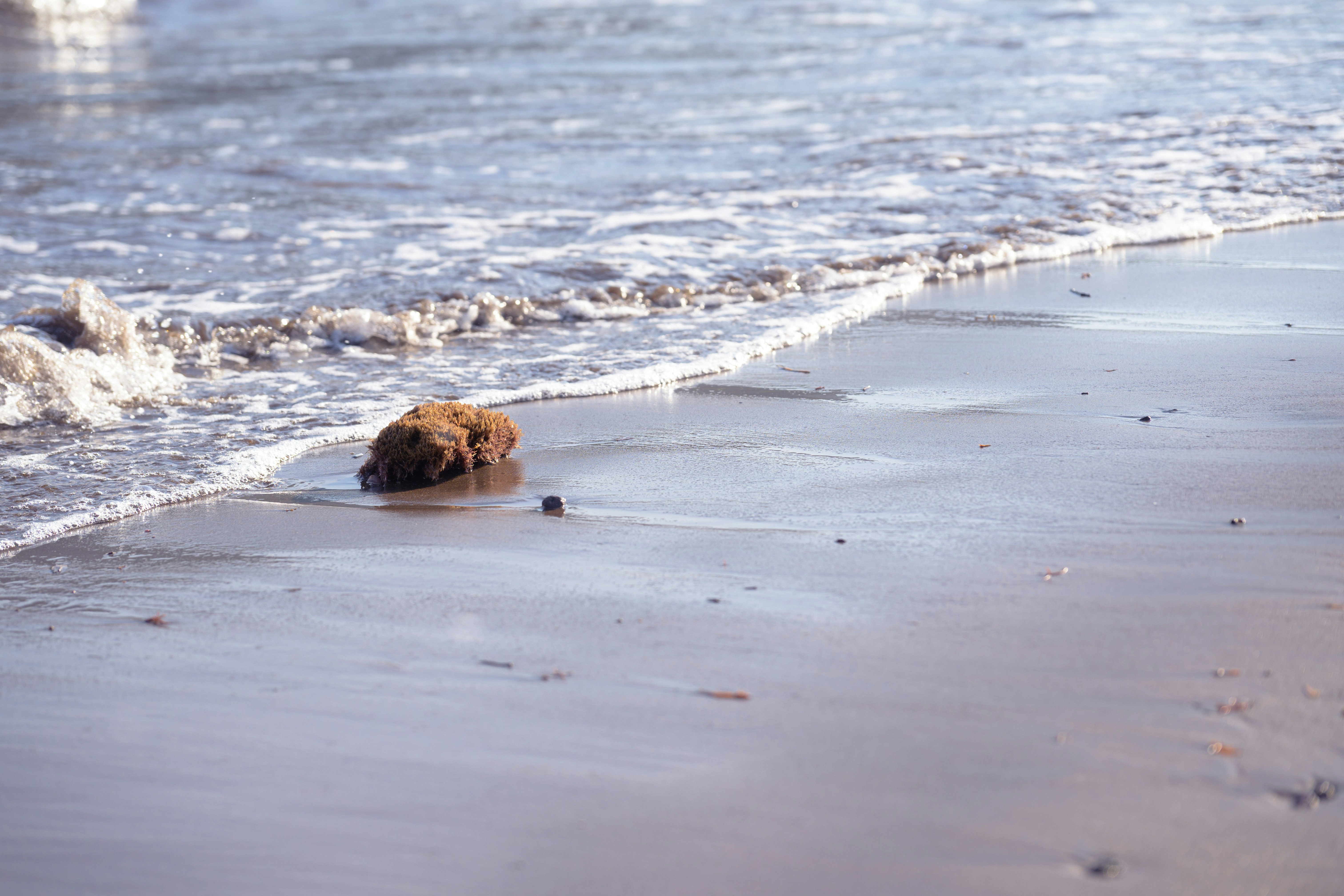 Photo by hayato_no_kiroku