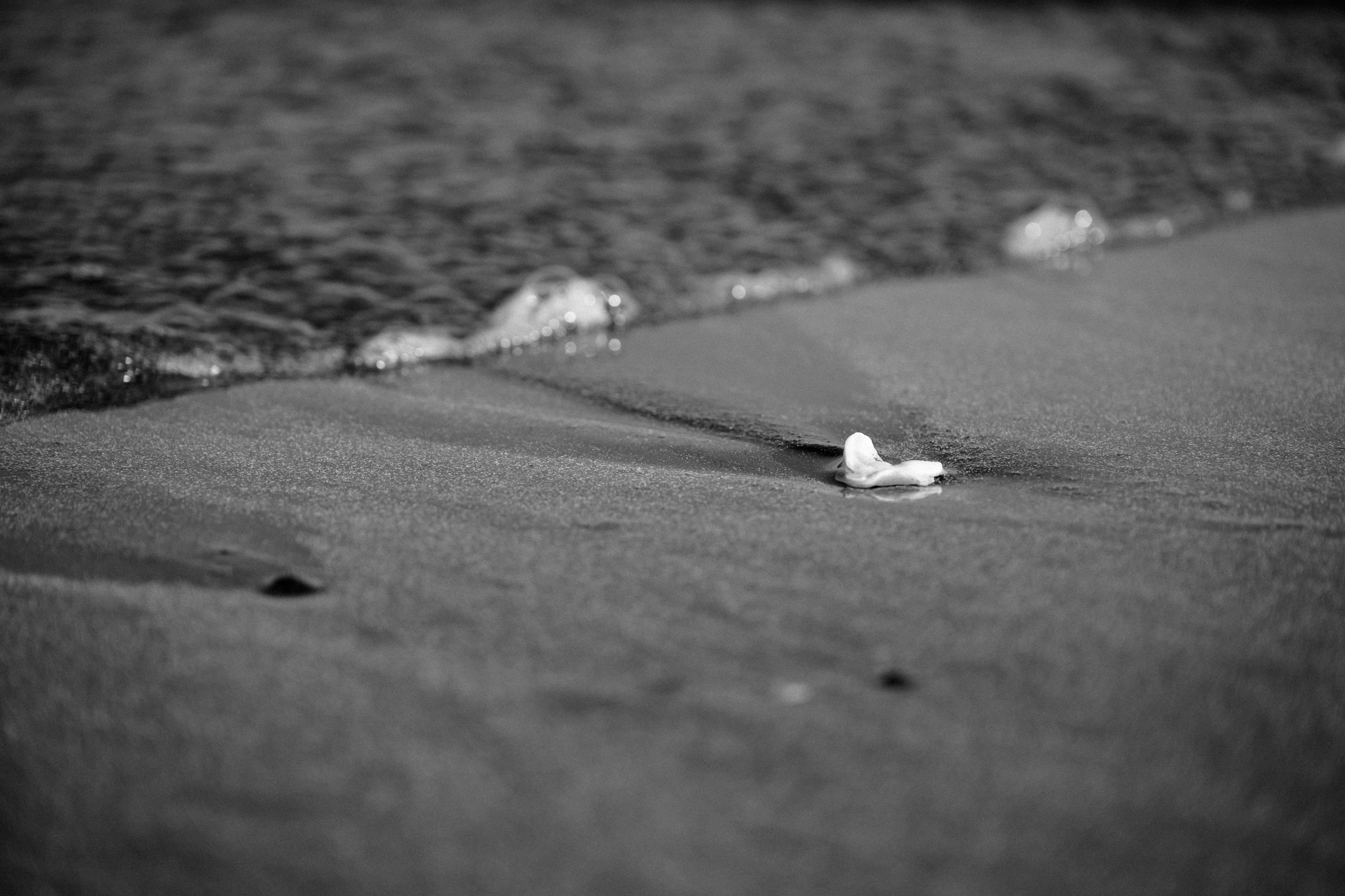 Photo by hayato_no_kiroku