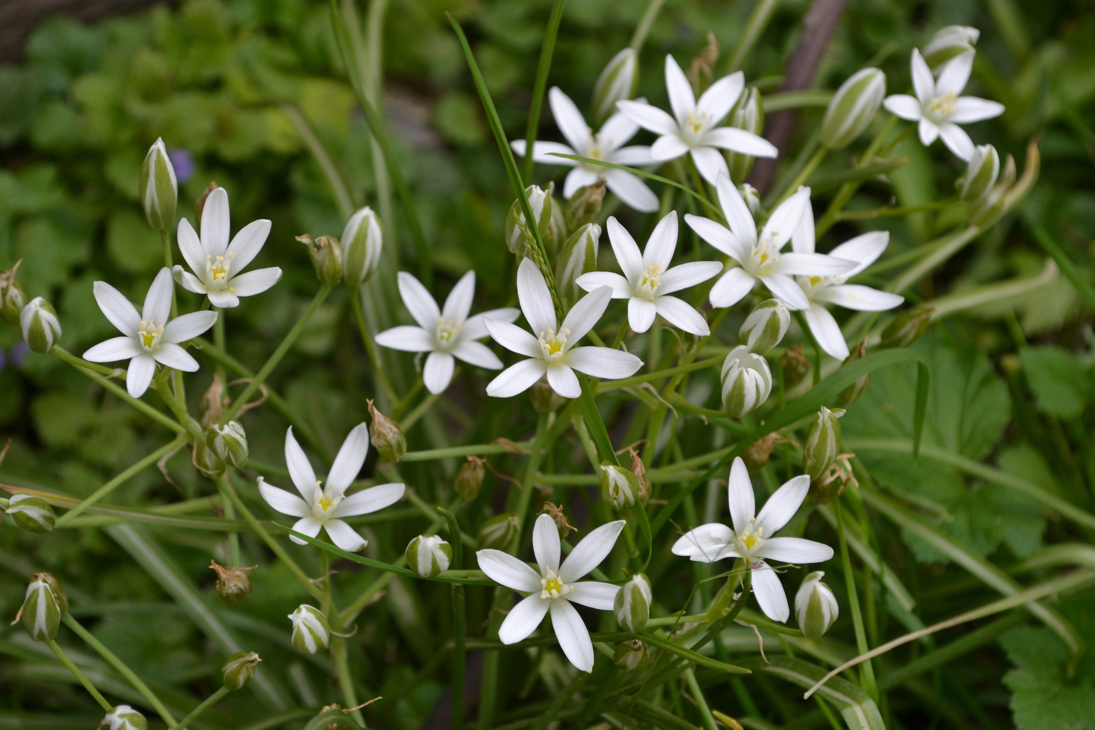 Photo by eugenegrunge