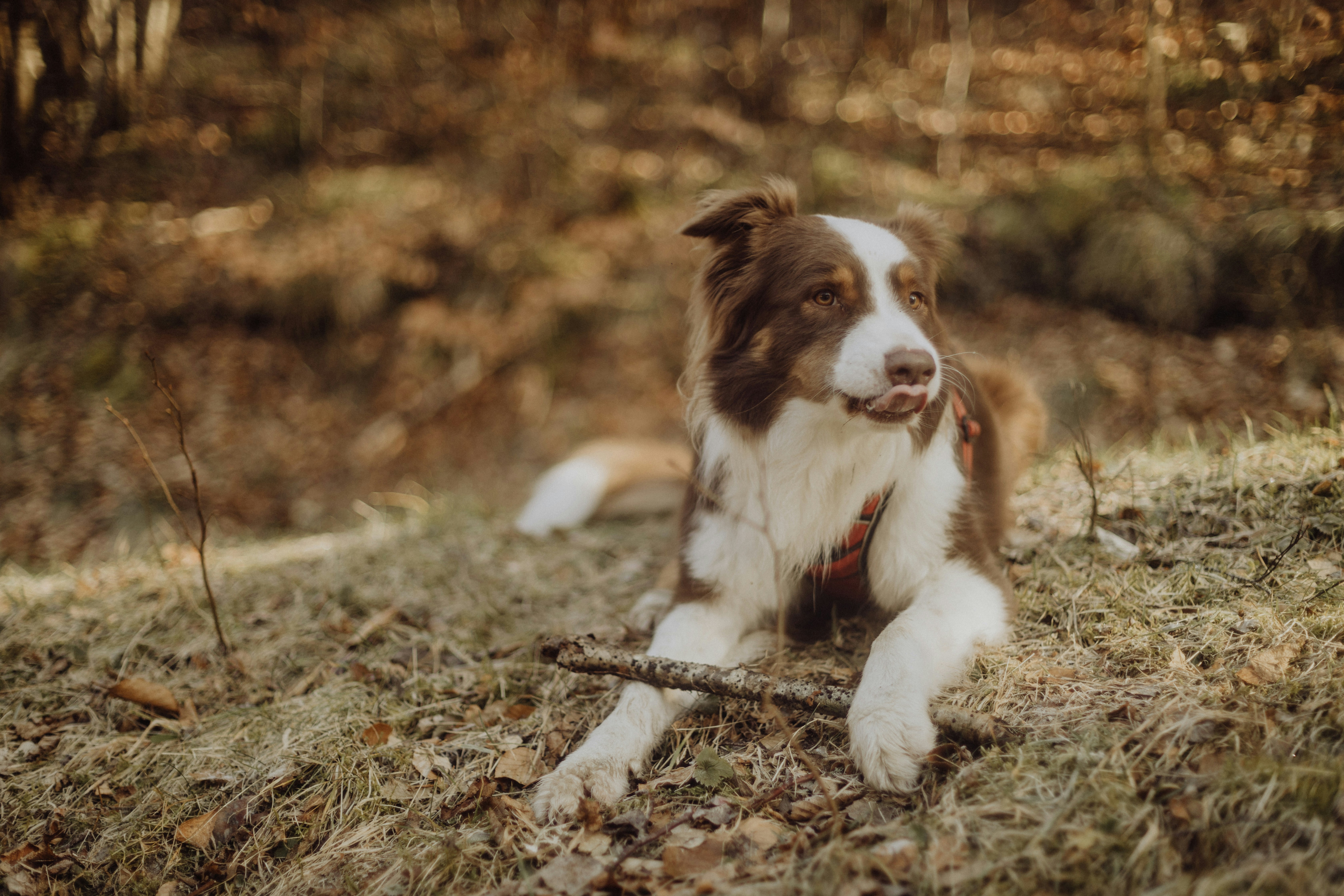 Conclusion (image credits: unsplash)