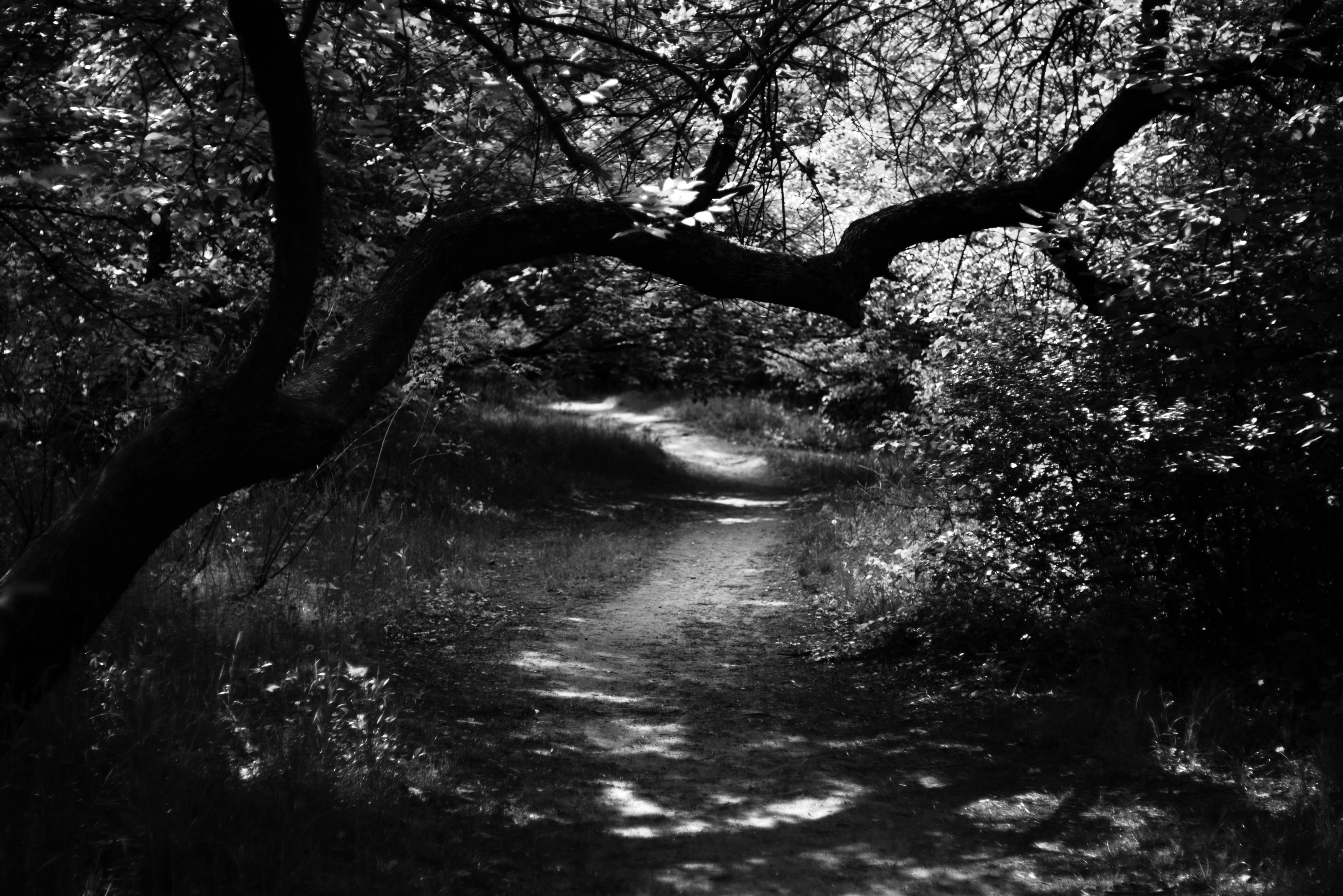 Photo by cherstve_pechivo