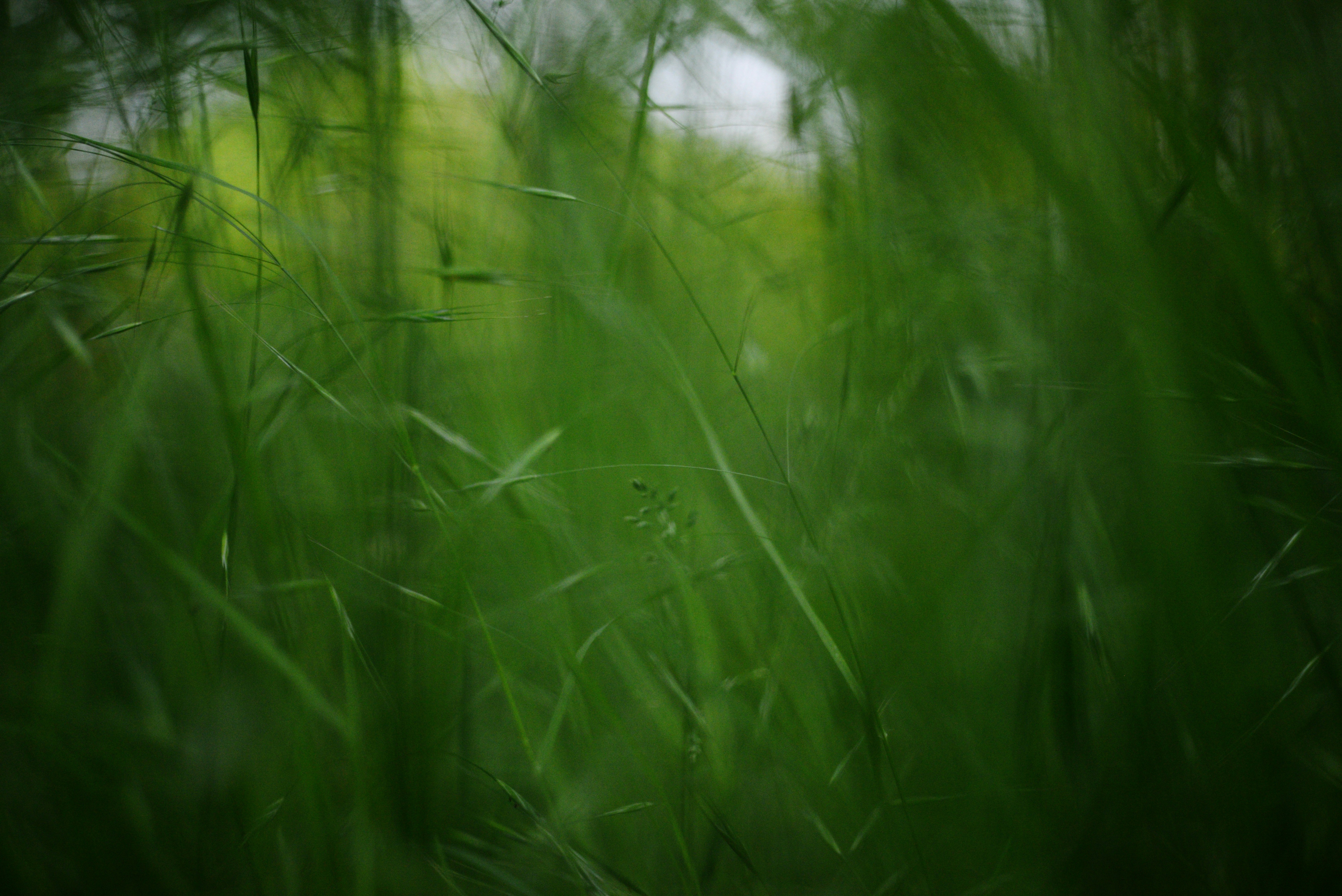 Photo by cherstve_pechivo