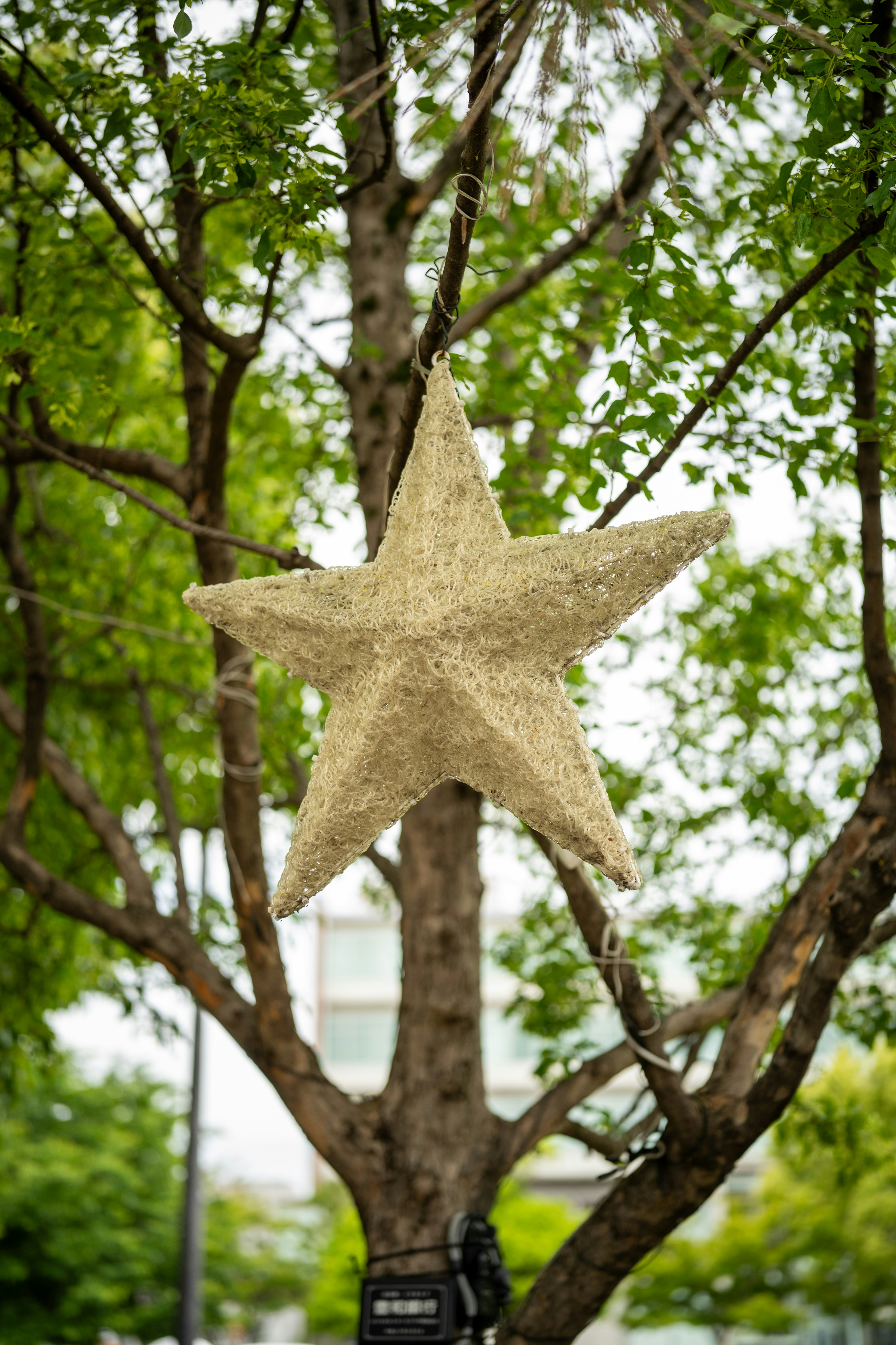 Lucky Star Watkins Glen Menu