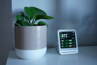 Plant next to a device displaying readings.