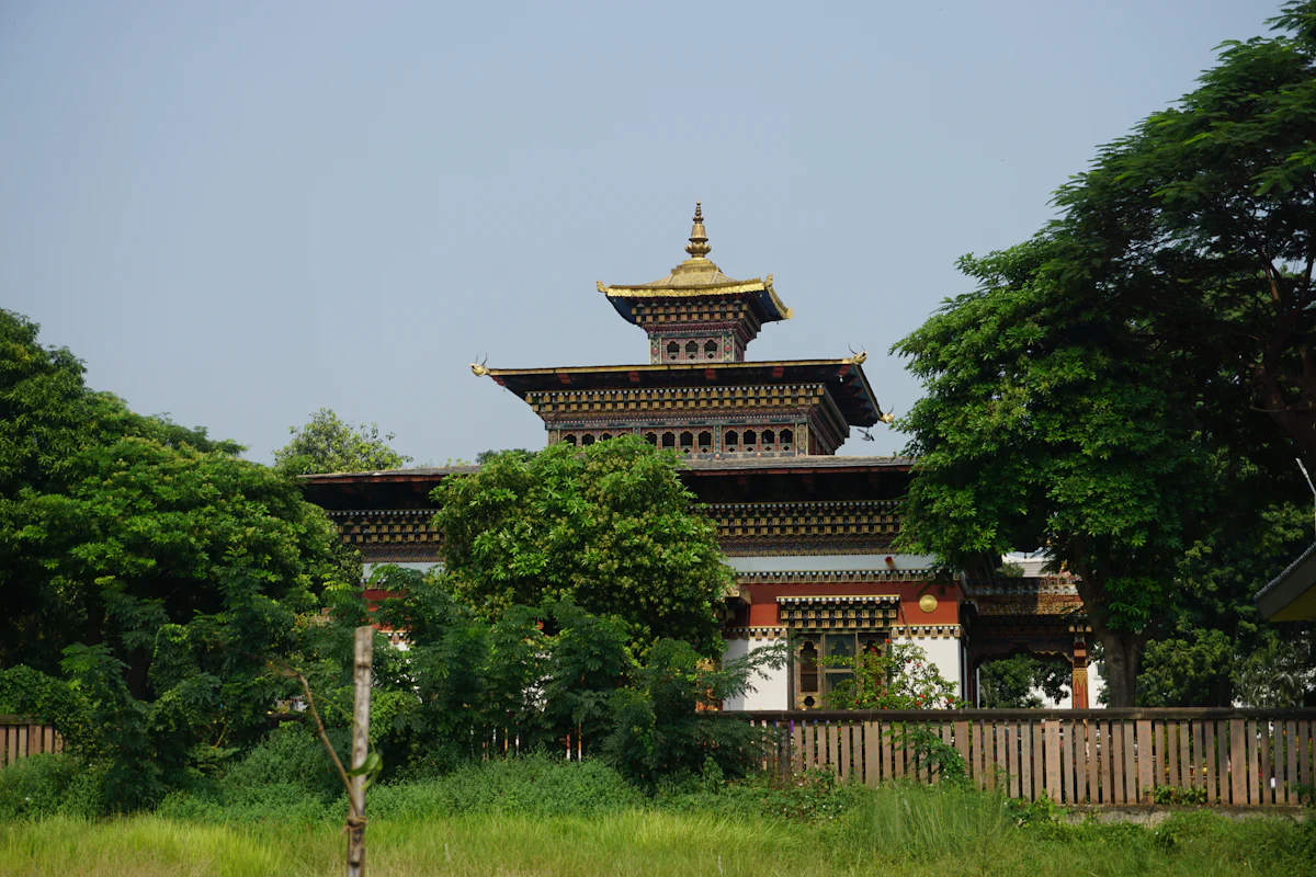 Gaya